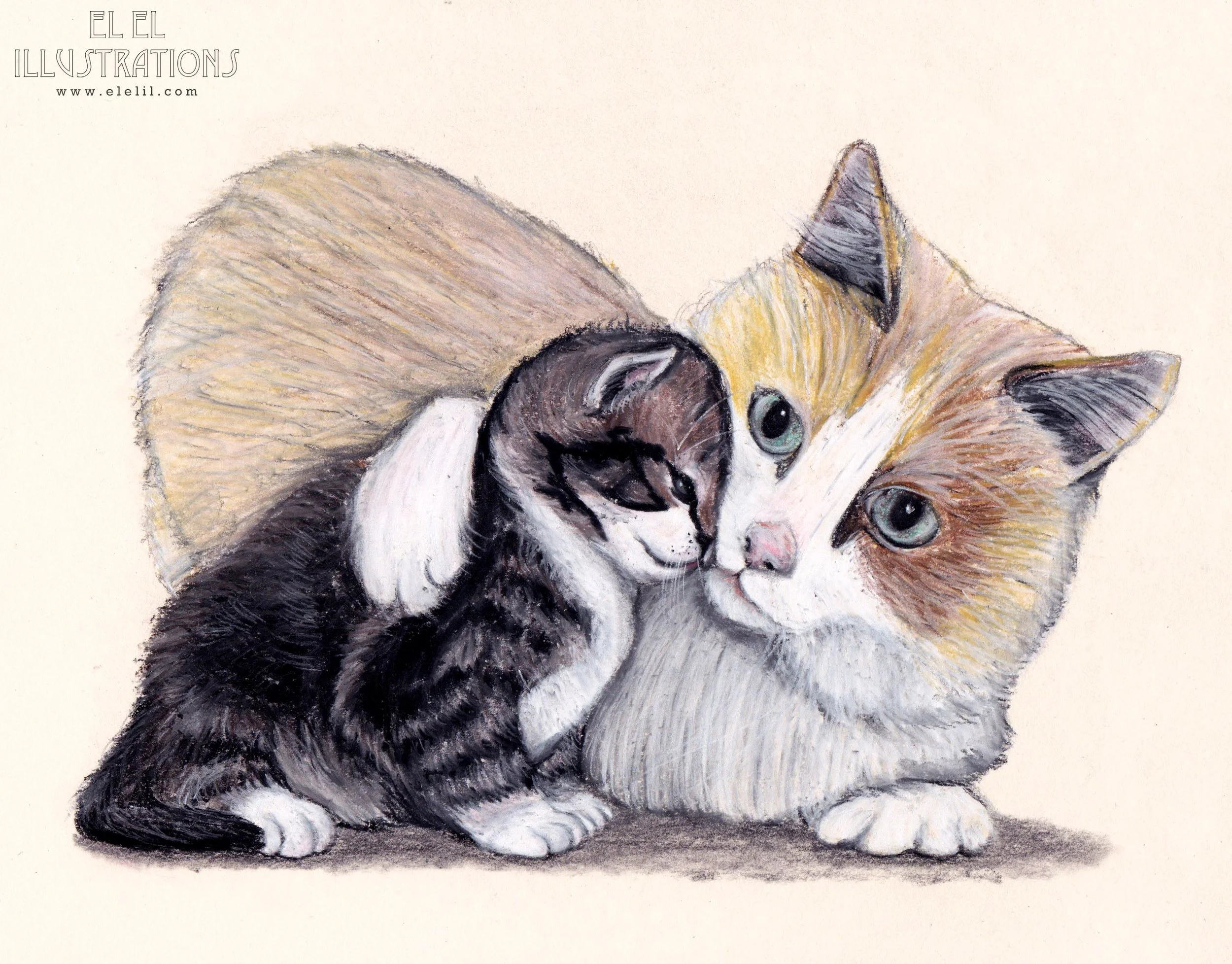 mothersday_cat_wm.jpg