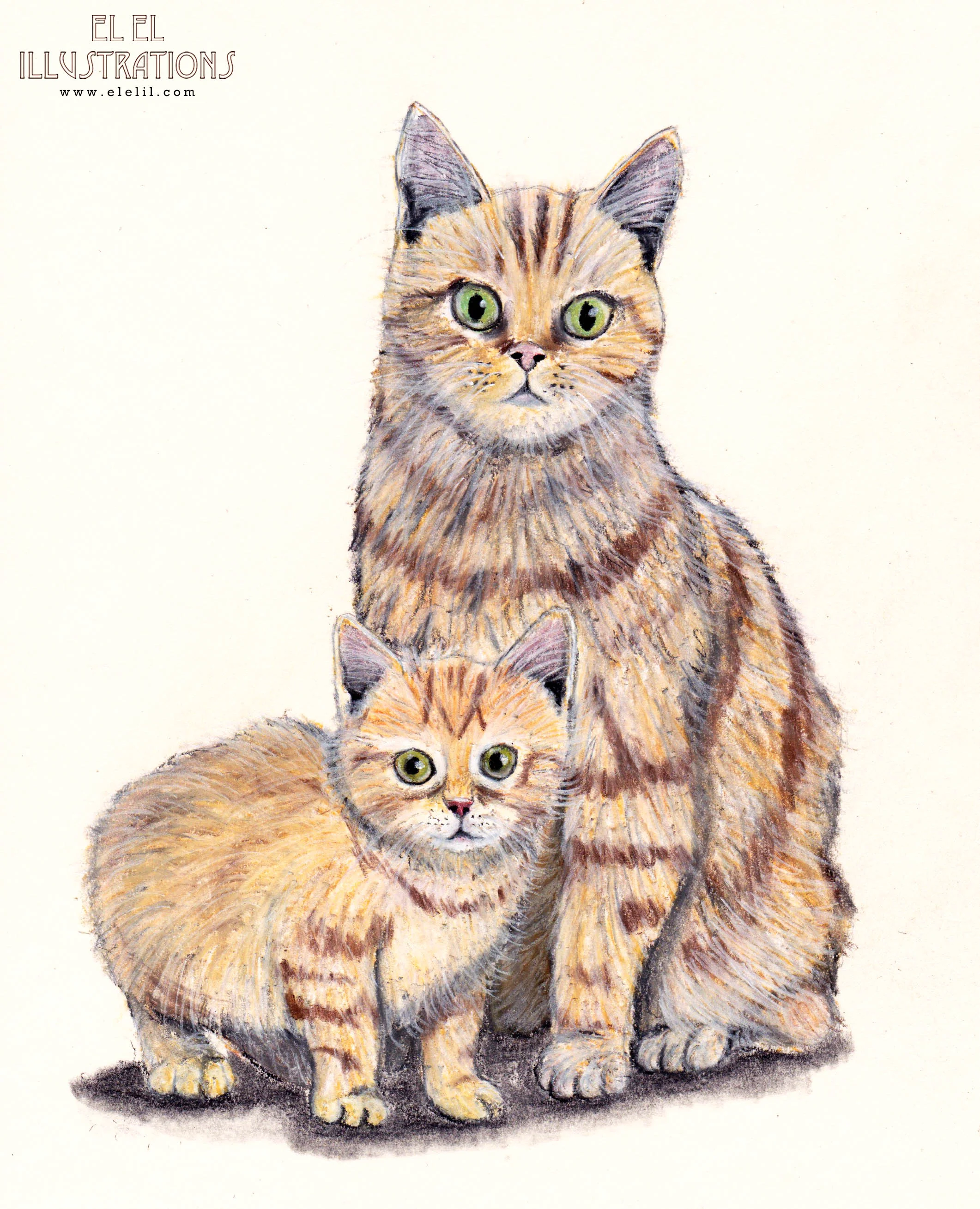 fathersday_cat_wm.jpg