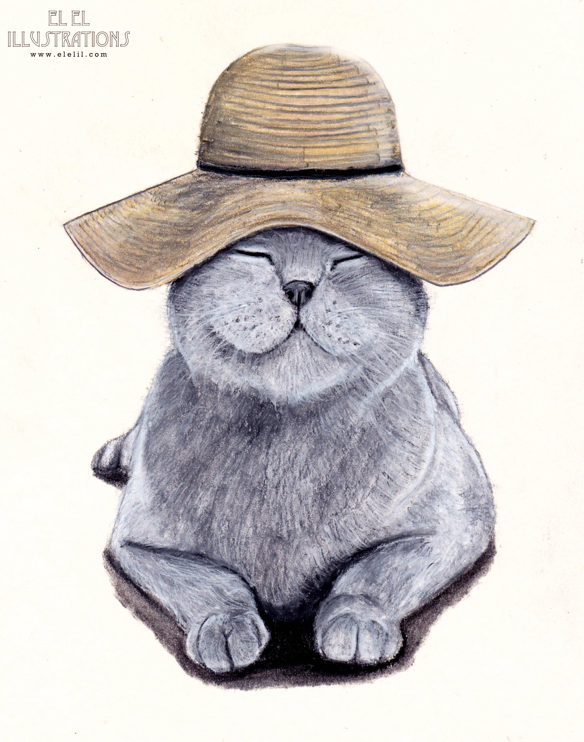 summer_cat_wm.jpg