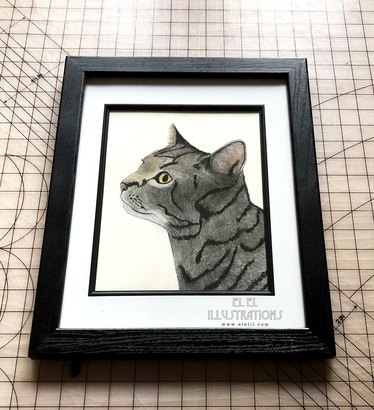 egg_cat_framed.jpg