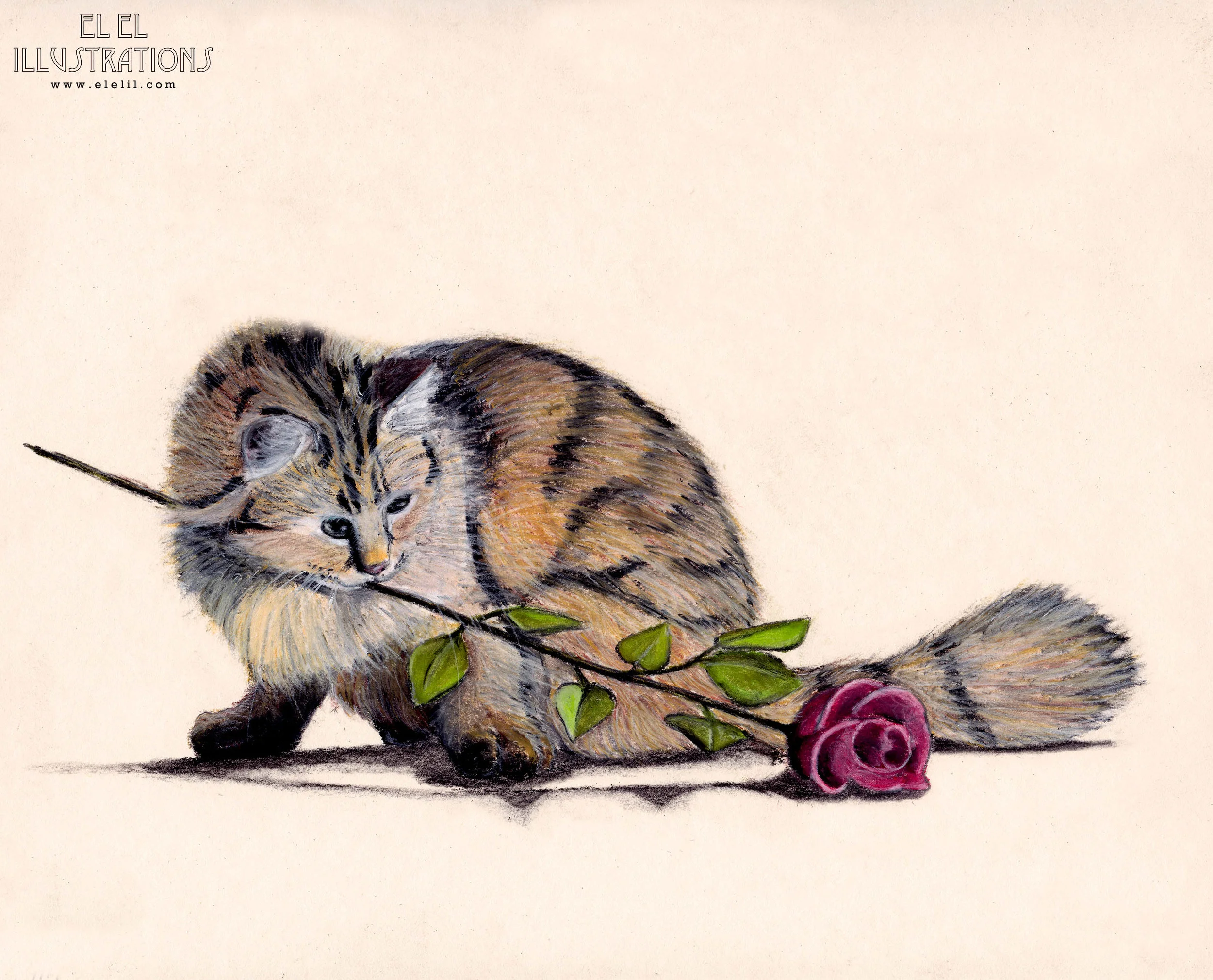 holiday_cat_valentines_wm.jpg