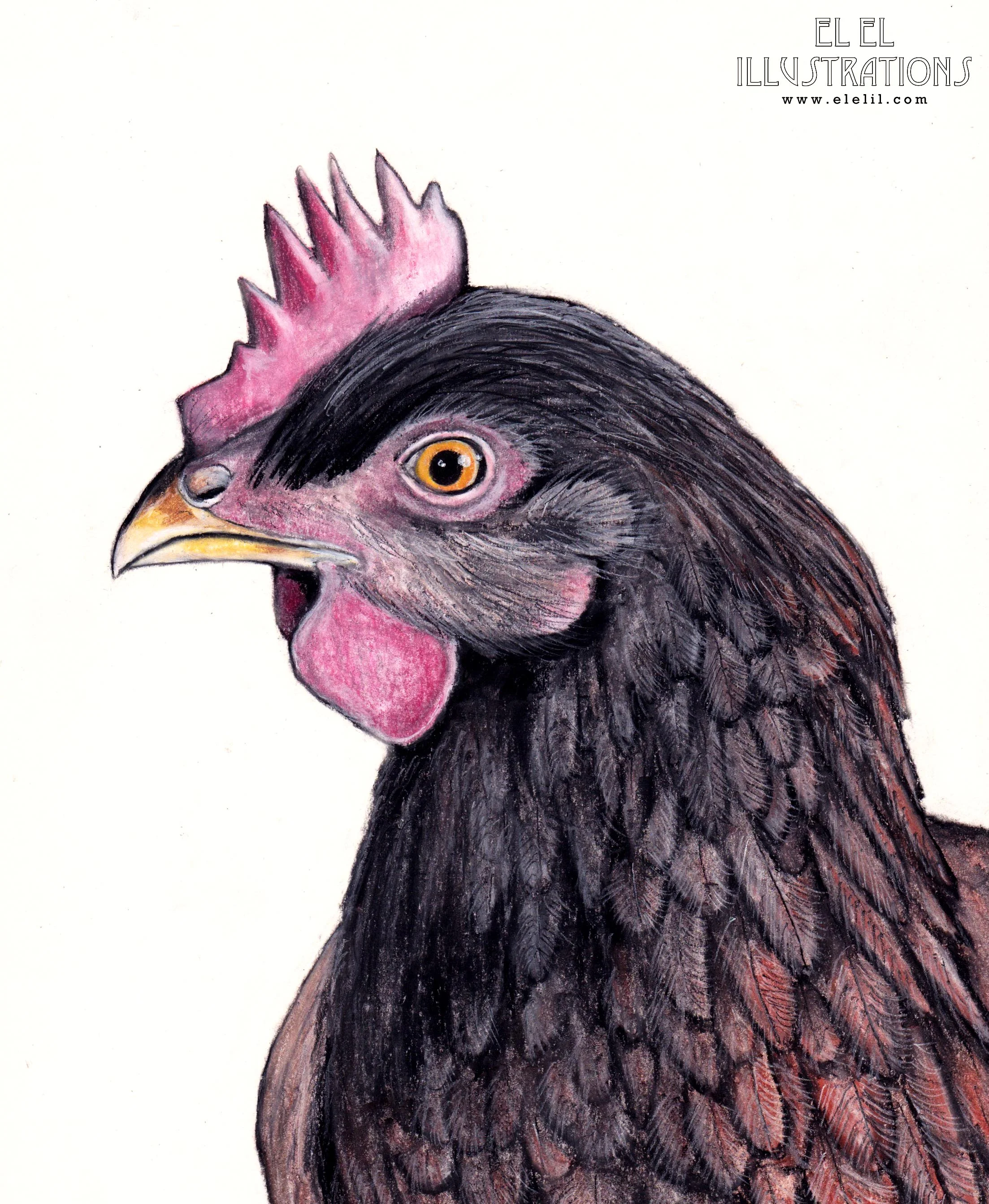 bird_chicken_brownie_wm.jpg
