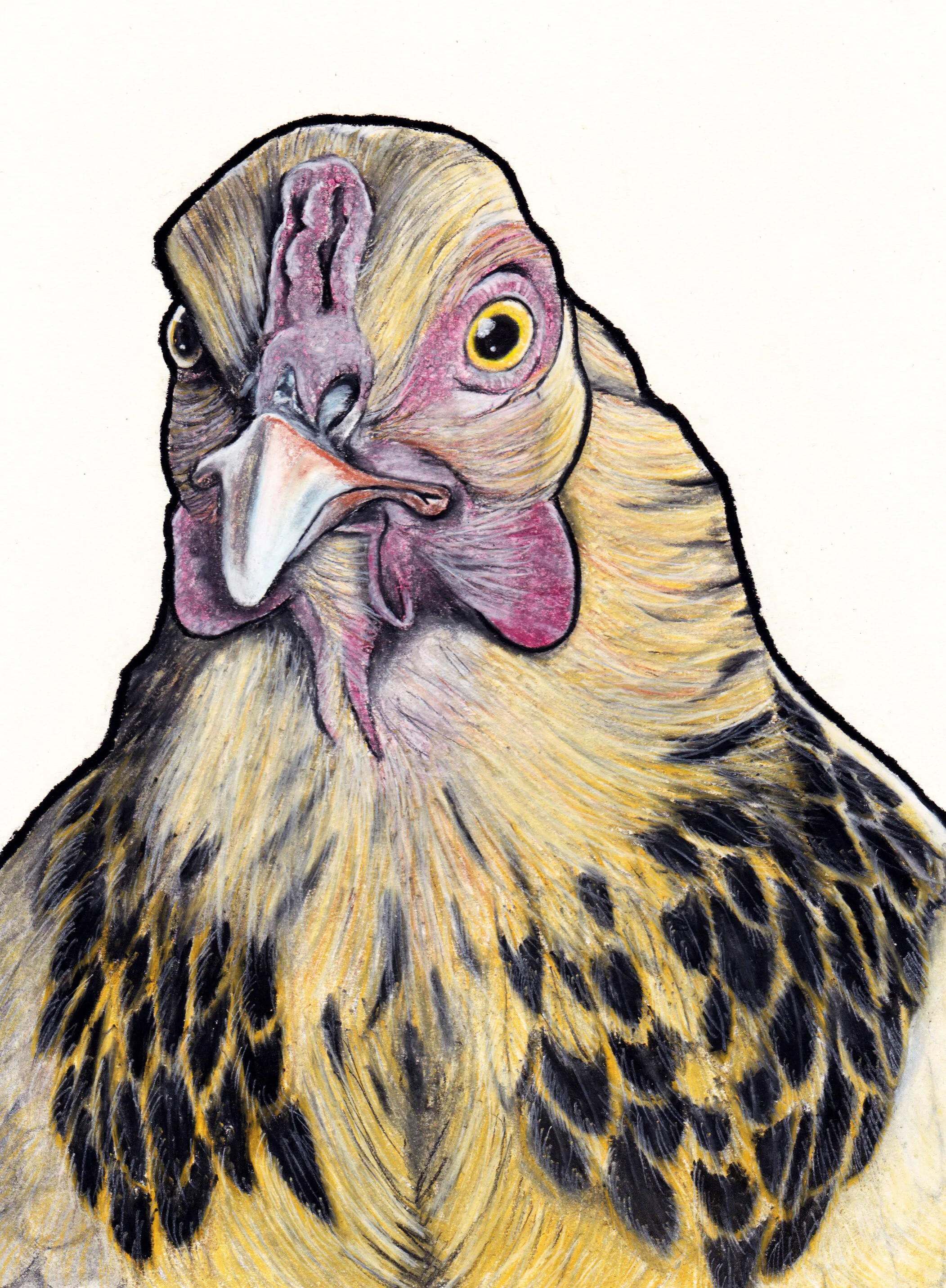 bird_chicken_ruth_02.jpg