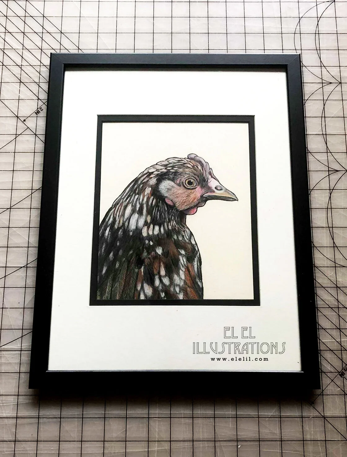 bird_chicken_babs_frame.jpg