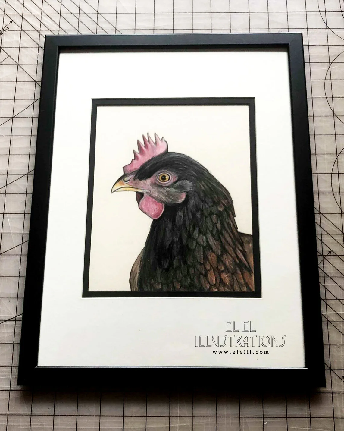 bird_chicken_brownie_frame.jpg