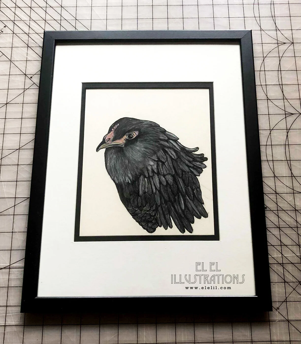 bird_chicken_fathead_frame.jpg