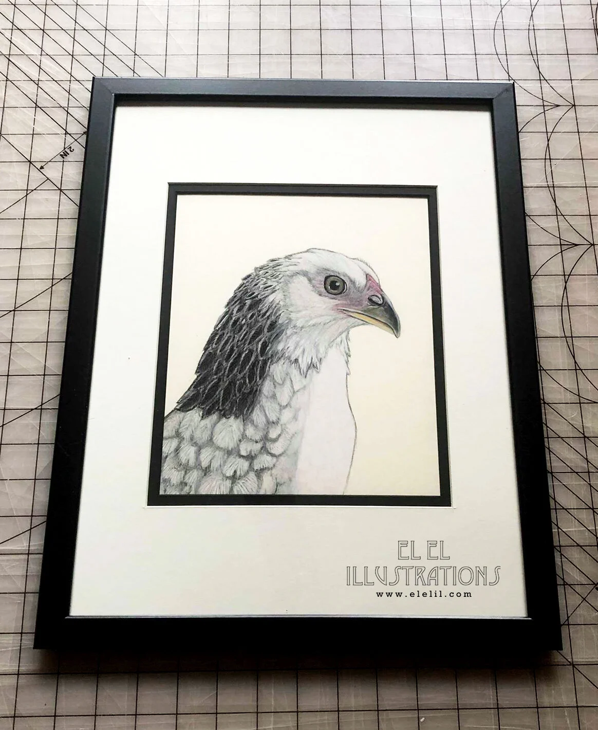 bird_chicken_tiny_frame.jpg