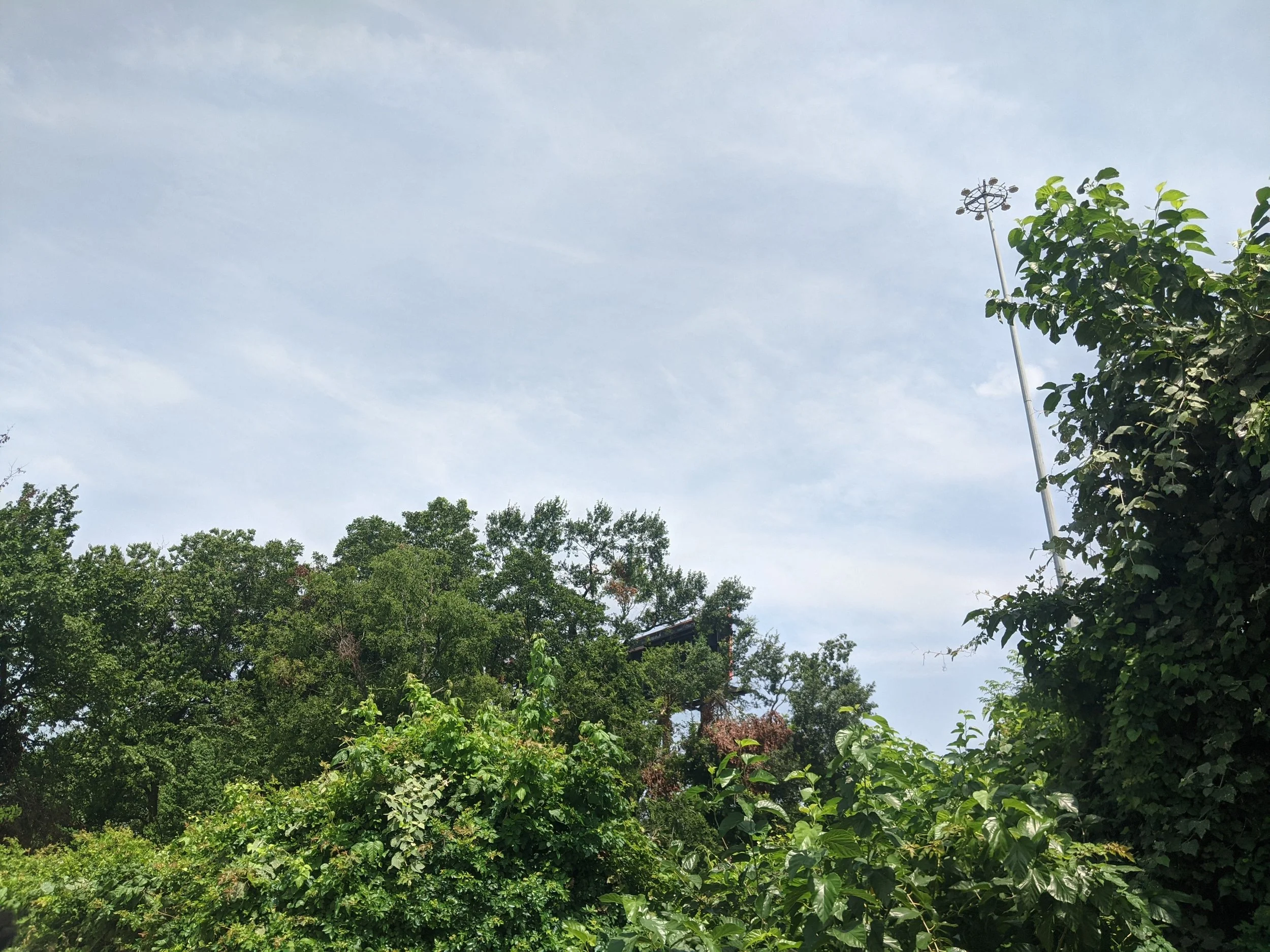 PXL_20240702_164458485.jpg