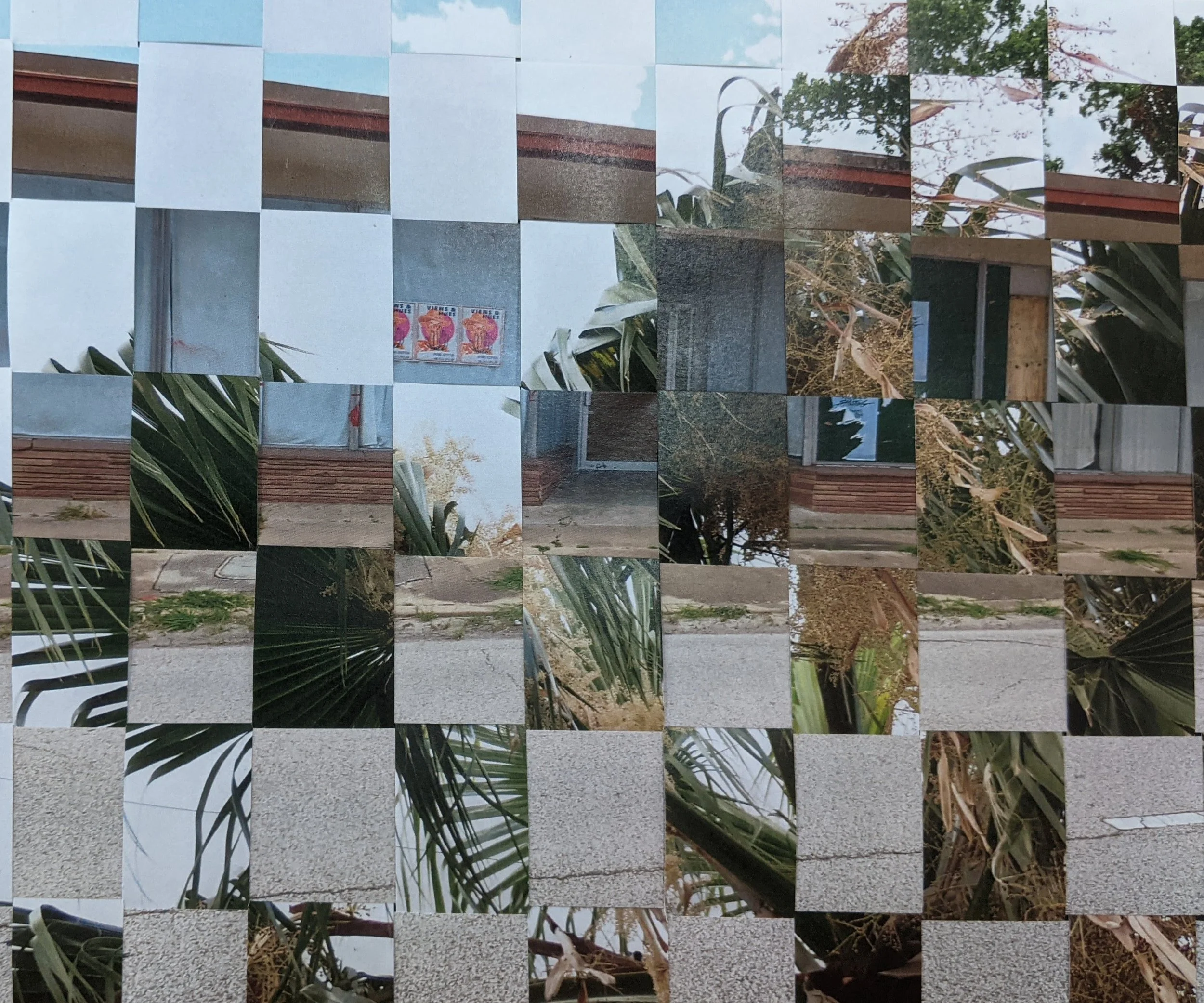 PXL_20240801_182759680.jpg