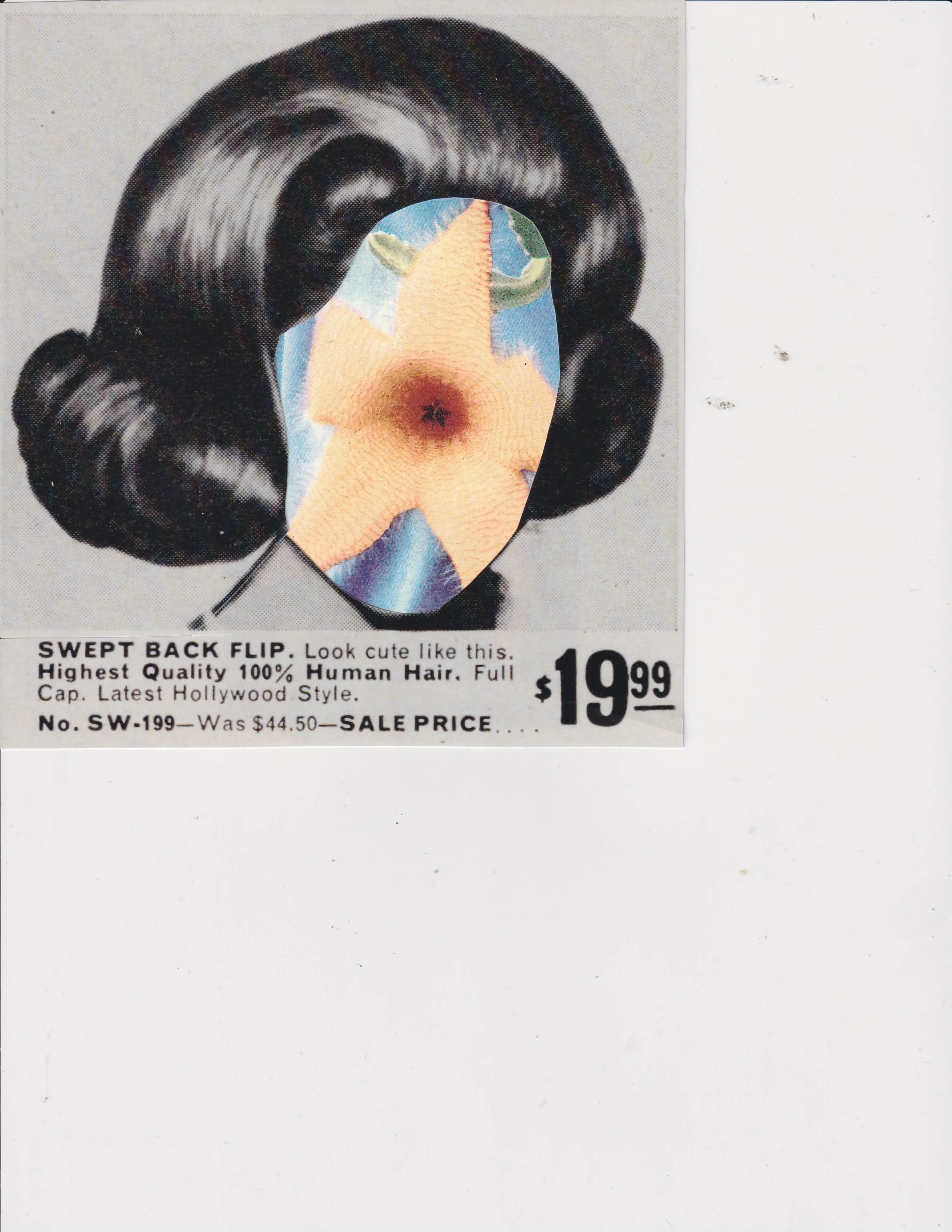 Scan 5.jpeg