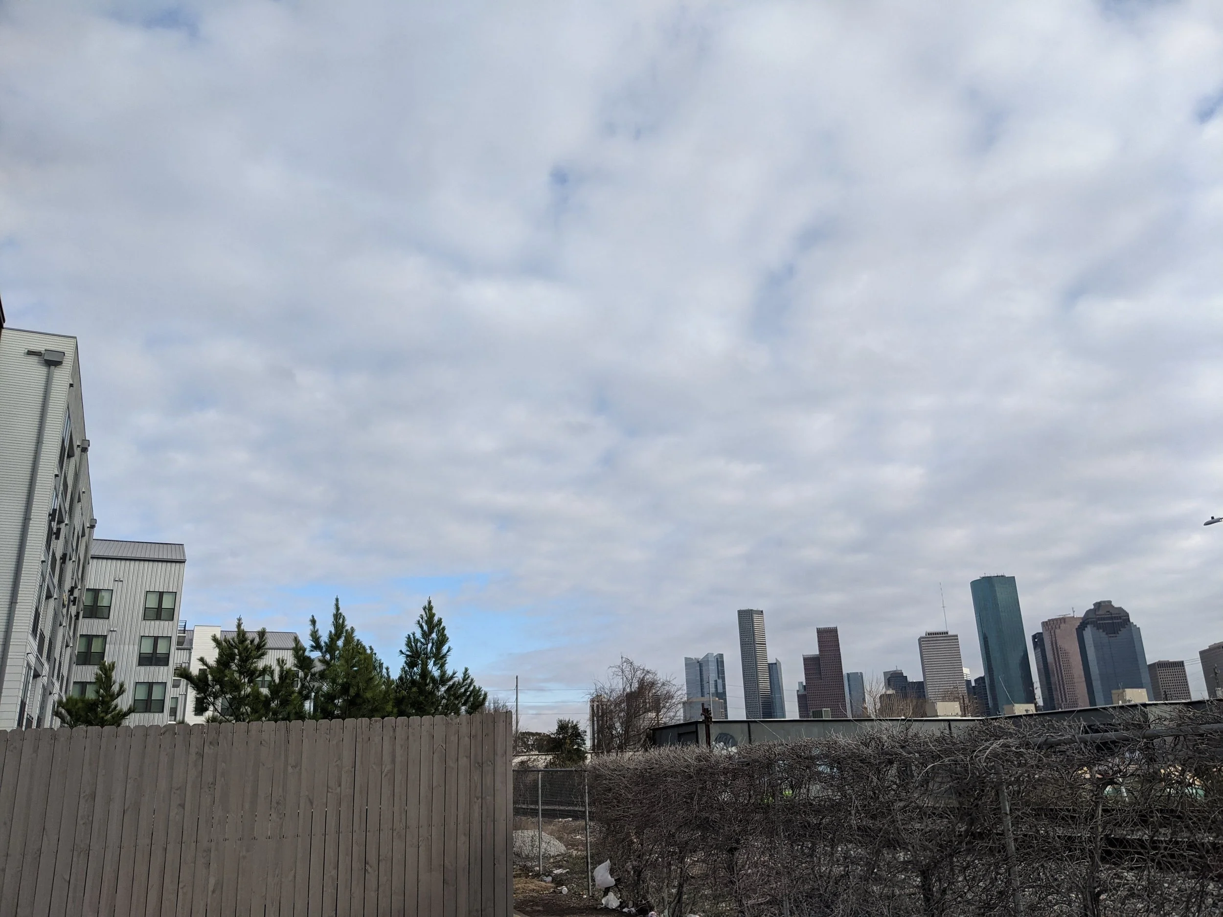 PXL_20240117_215320002.jpg