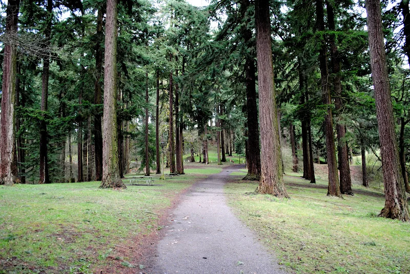 tabortrees.jpg
