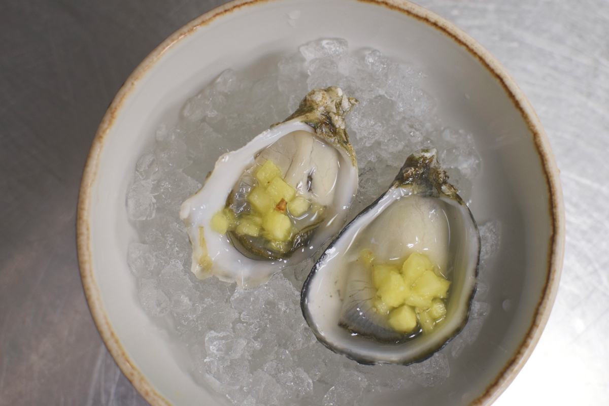 Oysters.jpg