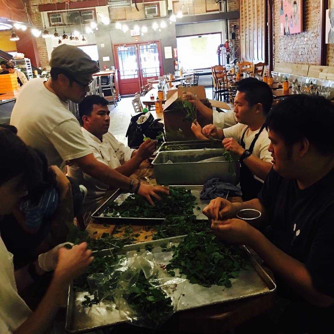 Part of our 28 menu options for the @nordstromhawaii grand opening is lots of Vietnamese herbs; 30 pounds of Mint and Thai Basil is alone! We are committed to make 21,000 plates for the event so this prep is 2 weeks in the making!