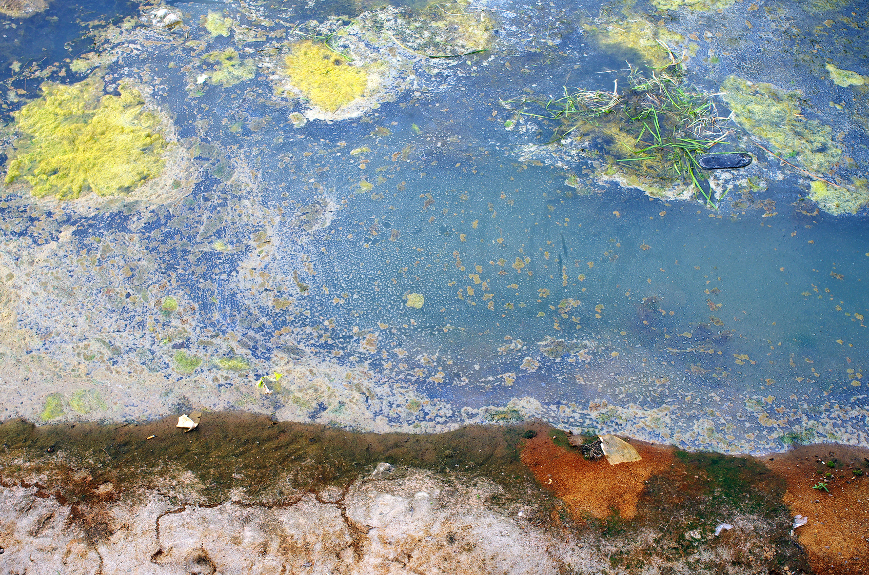 Fotolia_91279109_Polluted Water.jpg