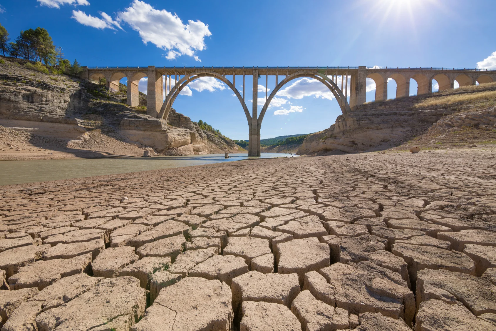Fotolia_drought.jpg