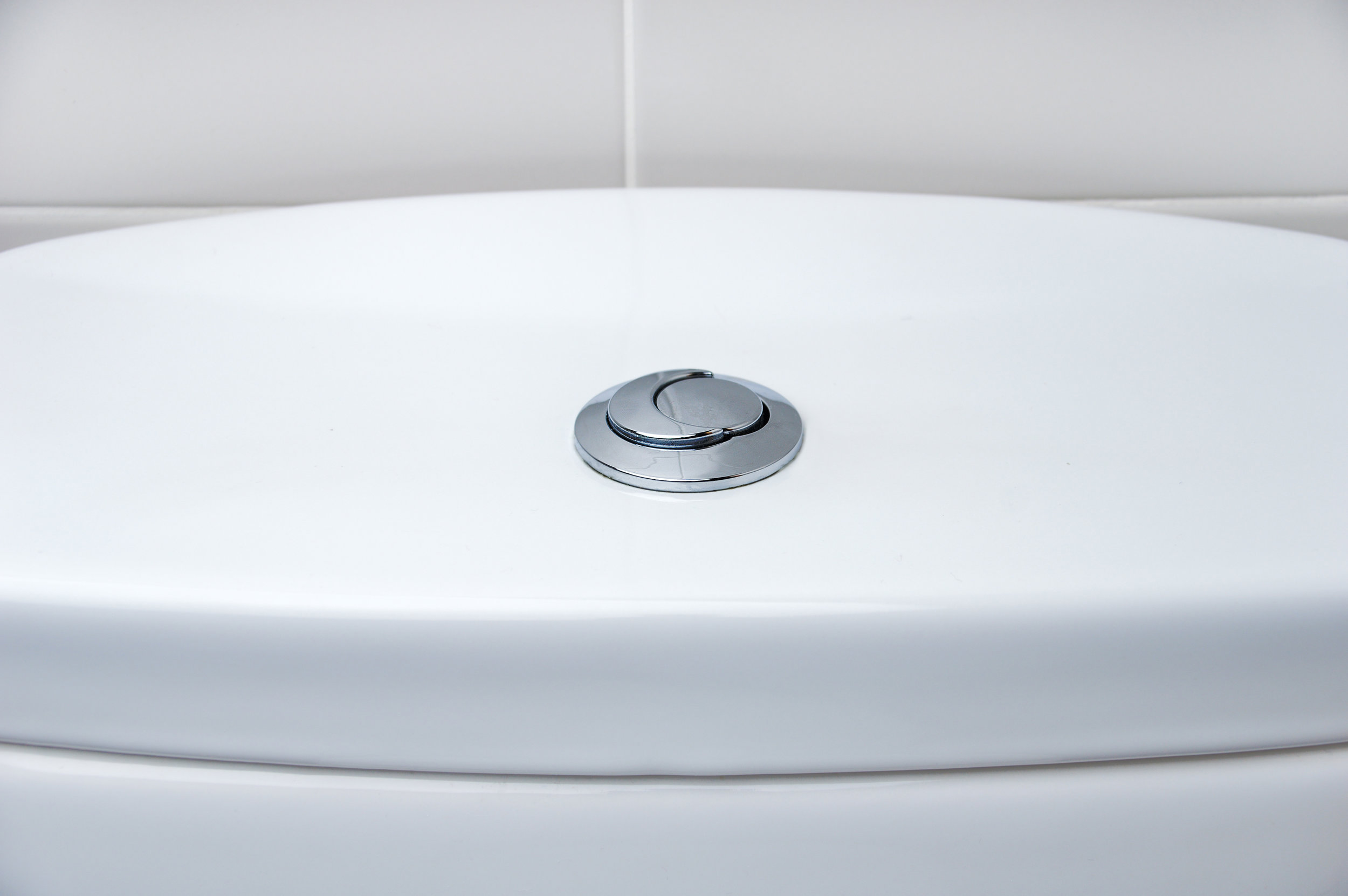 DualFlush Toilet.jpg