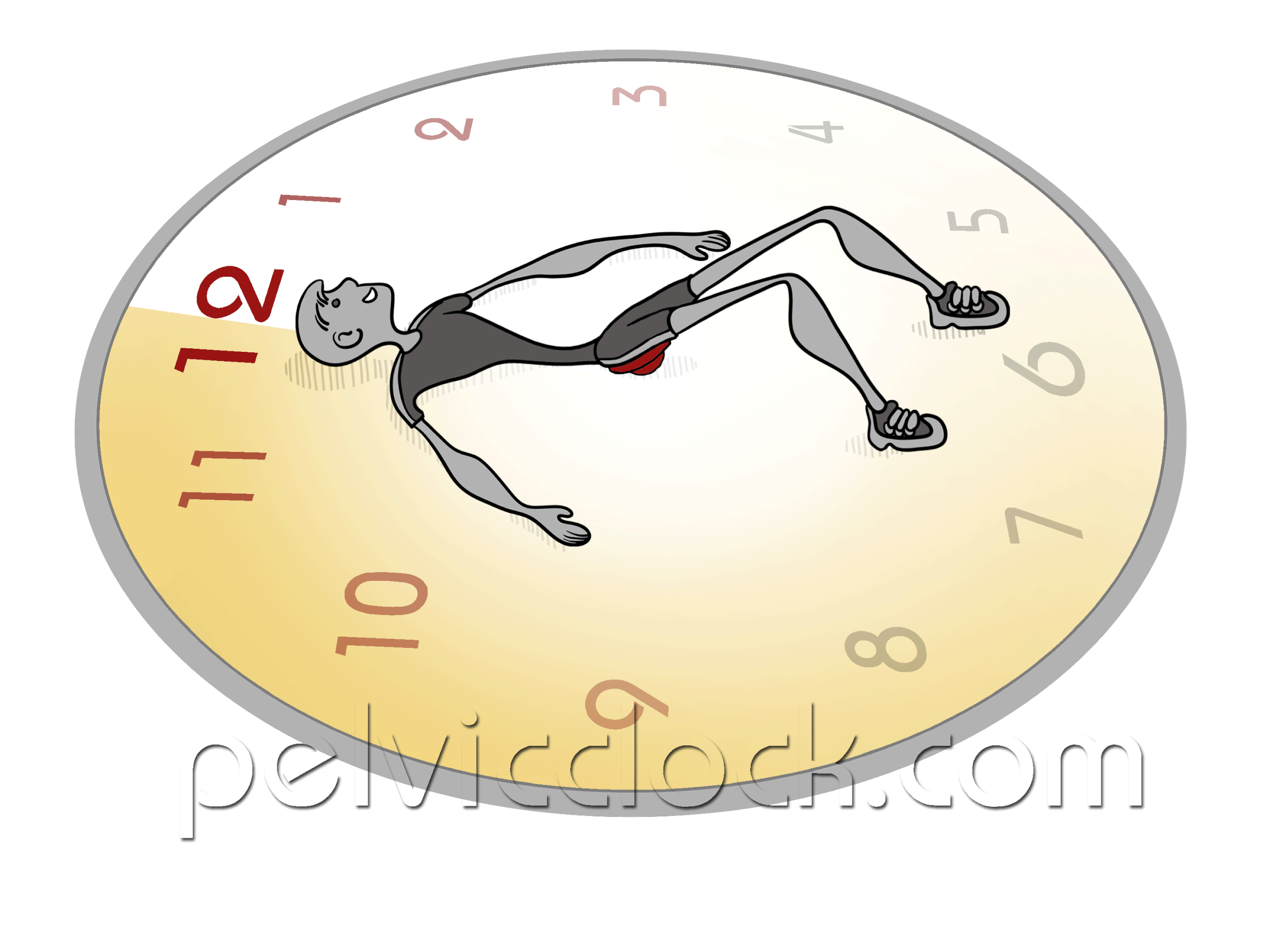 How Hip Alignment Exercises Help Piriformis Syndrome — Pelvic Clock ...