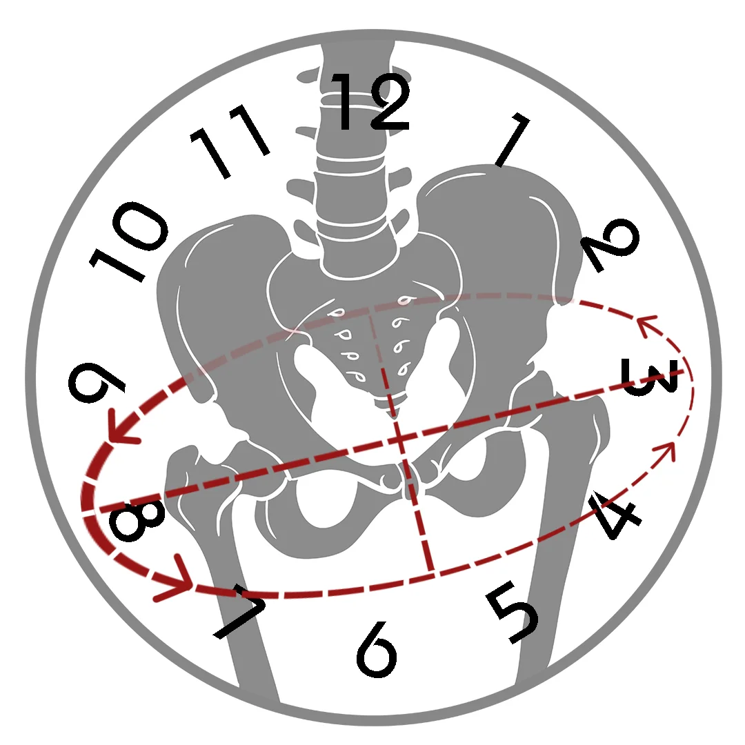 Pelvic Rotation.jpg