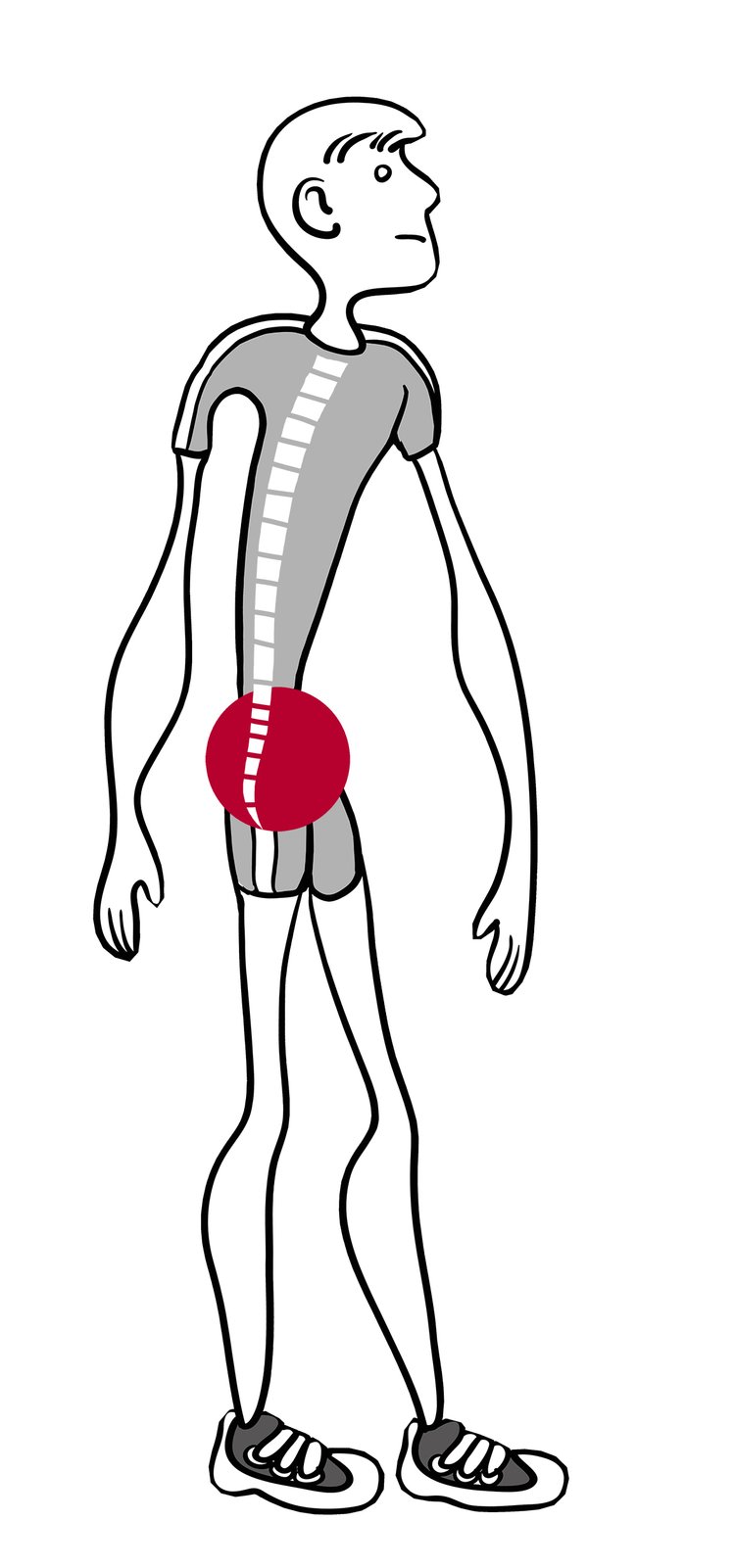 Exercises for Flat Back Syndrome — Pelvic Clock® Exercise Device