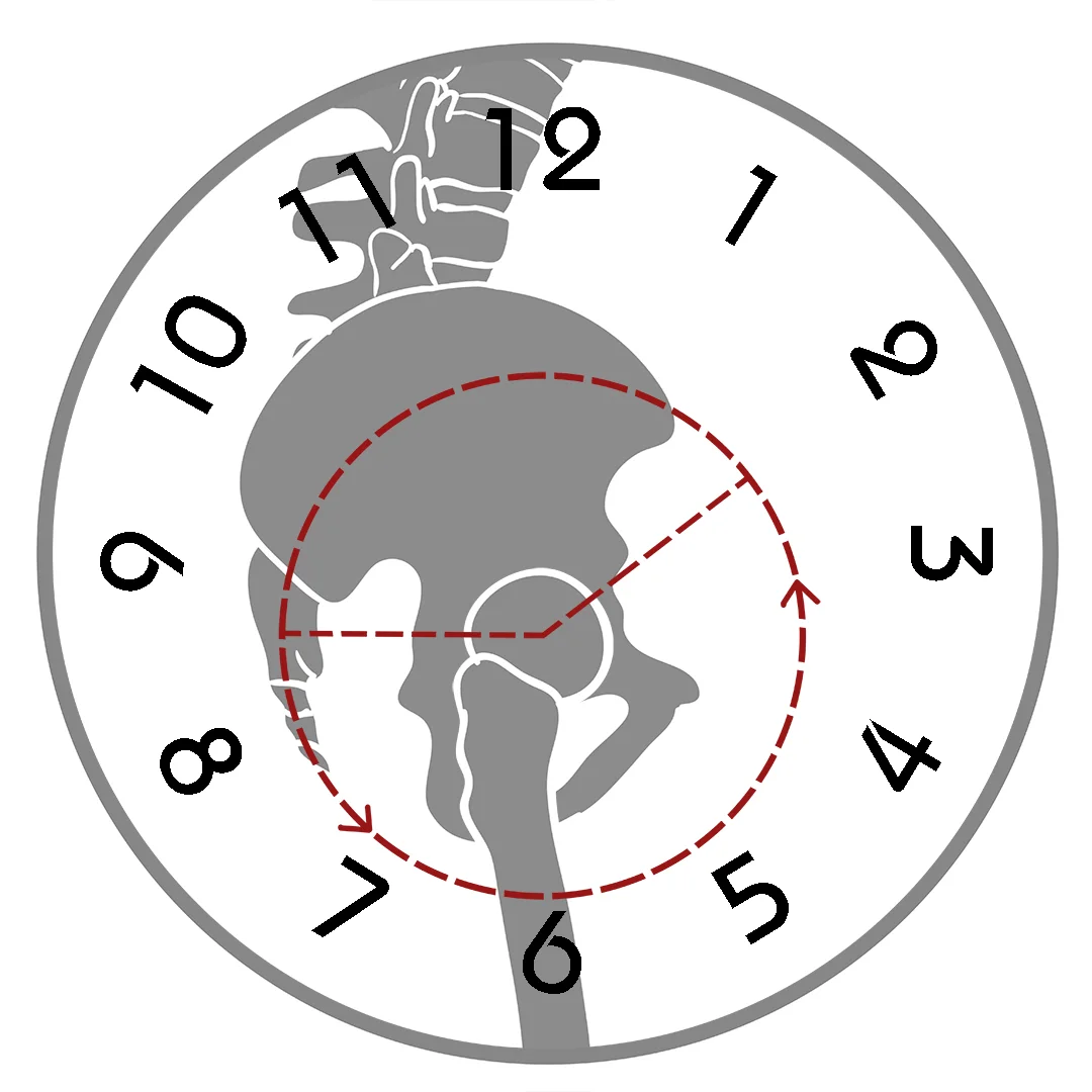 Posterior (Backward) Pelvic Tilt