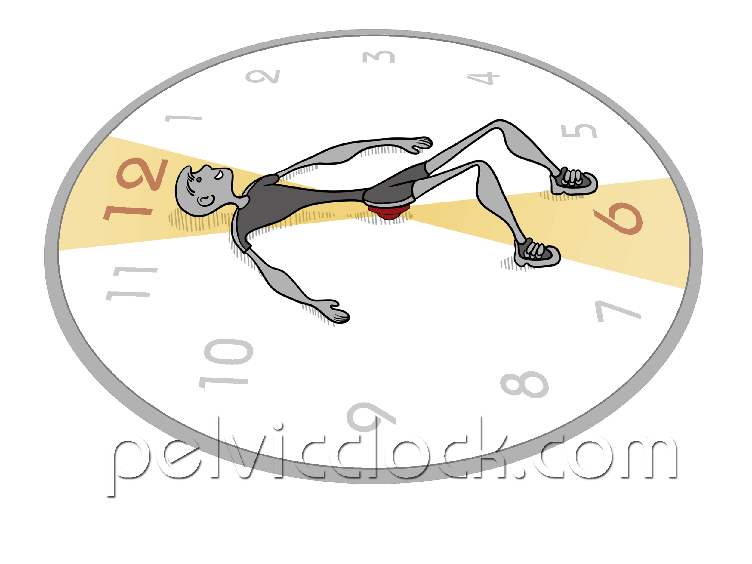 Stretches for Hips & Lower Back — Pelvic Clock® Exercise Device