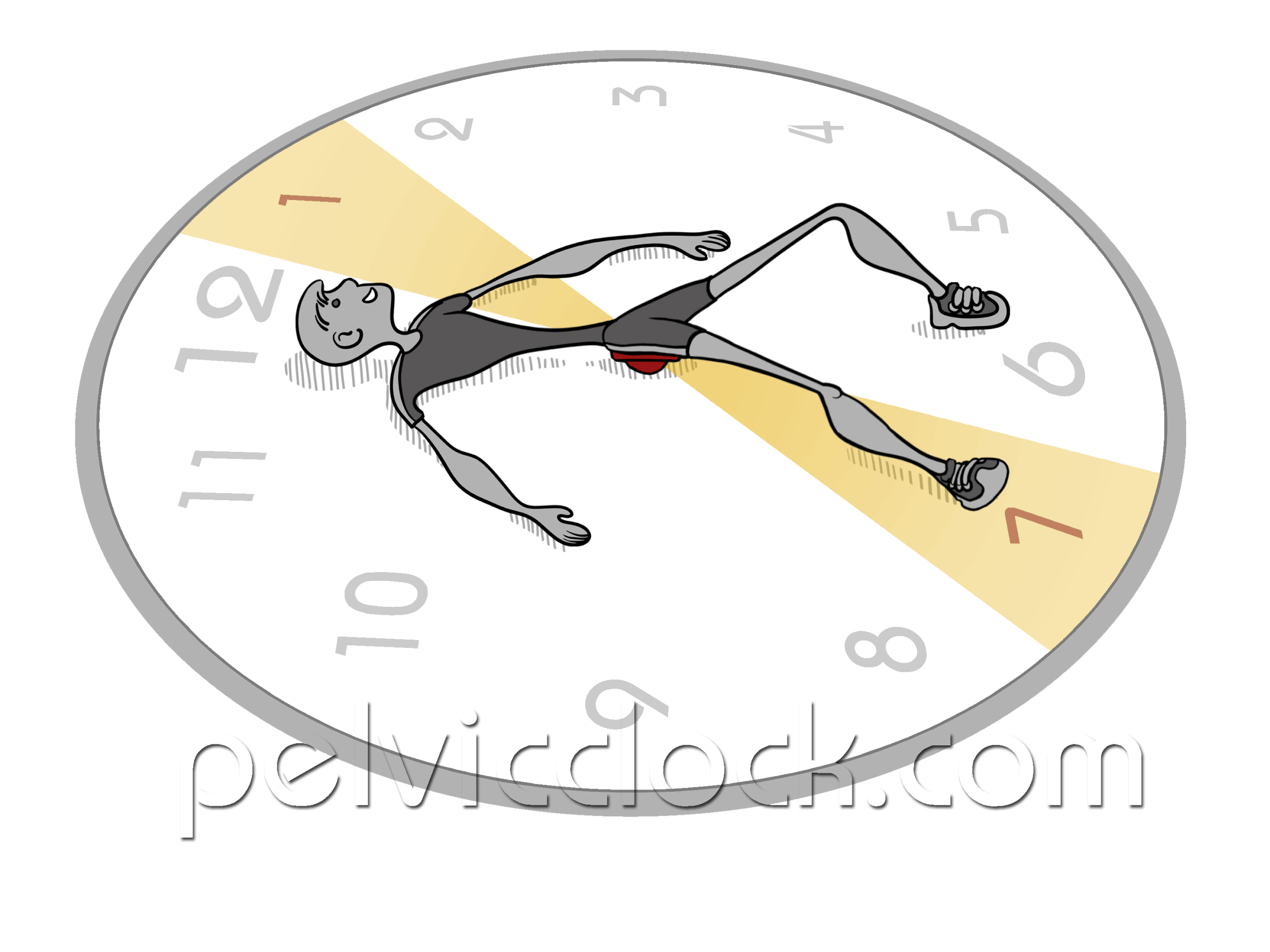 Pelvic Clock Exercise 7-1 diagonal pelvic tilt.gif