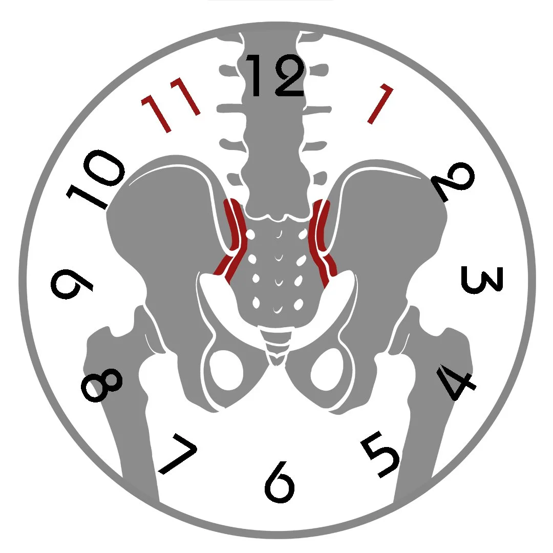 Sacroiliac Joints SI Joint.jpg