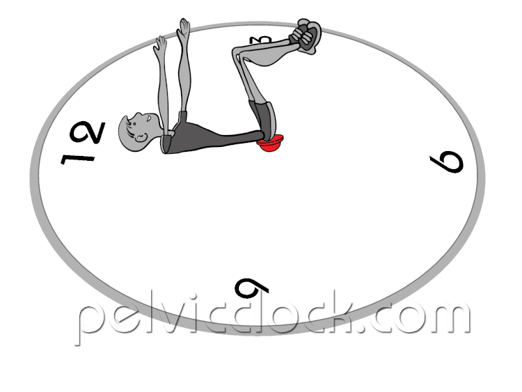 Lower Back Pain From Deadlift — Pelvic Clock® Exercise Device — Pelvic