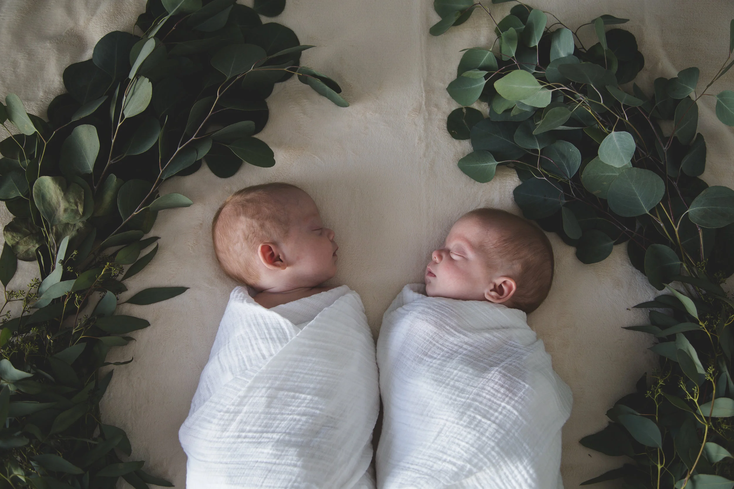 CTP-Ternes Newborn-12.jpg