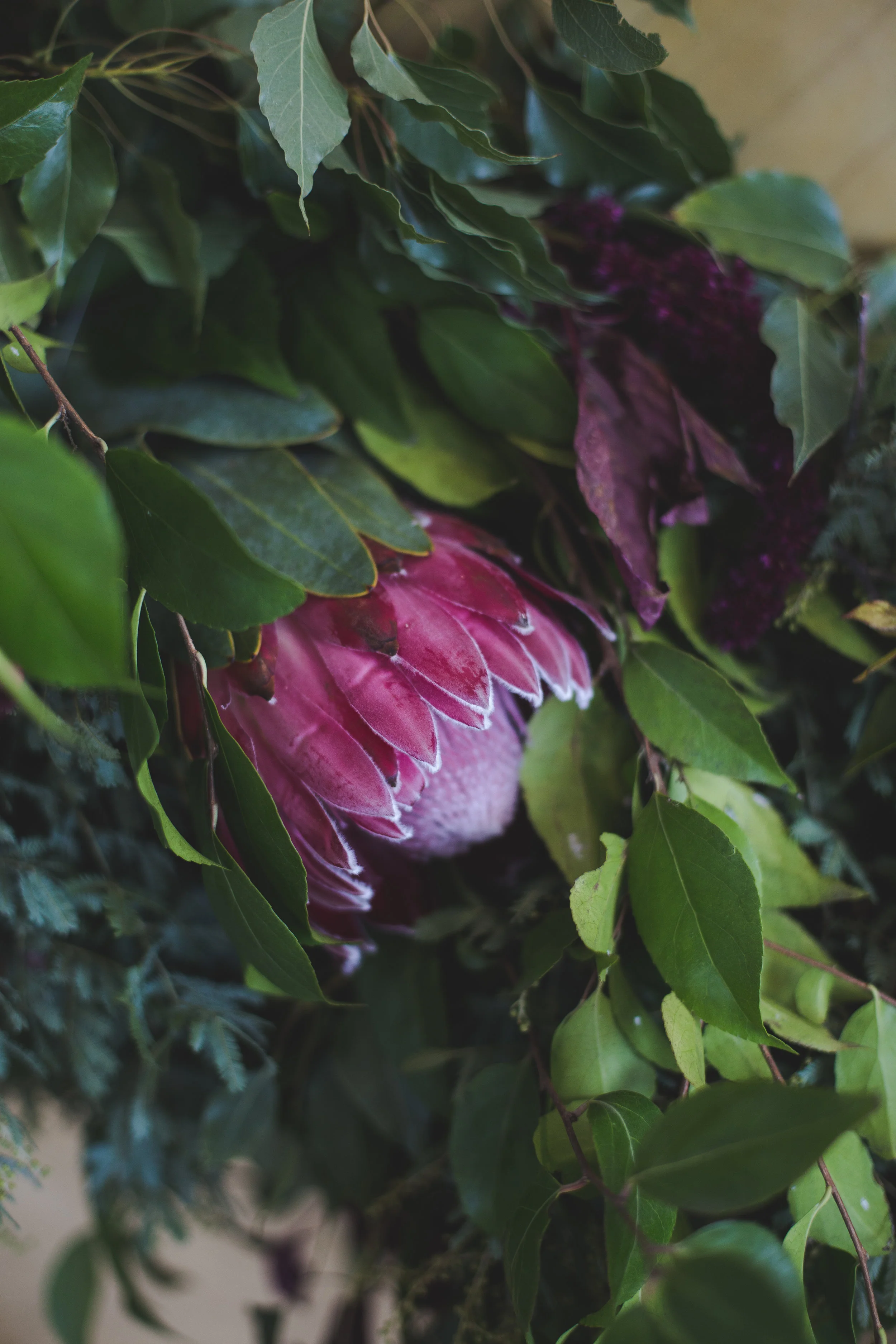 ChristineTustinPhotography-Theswoonevent-21.jpg
