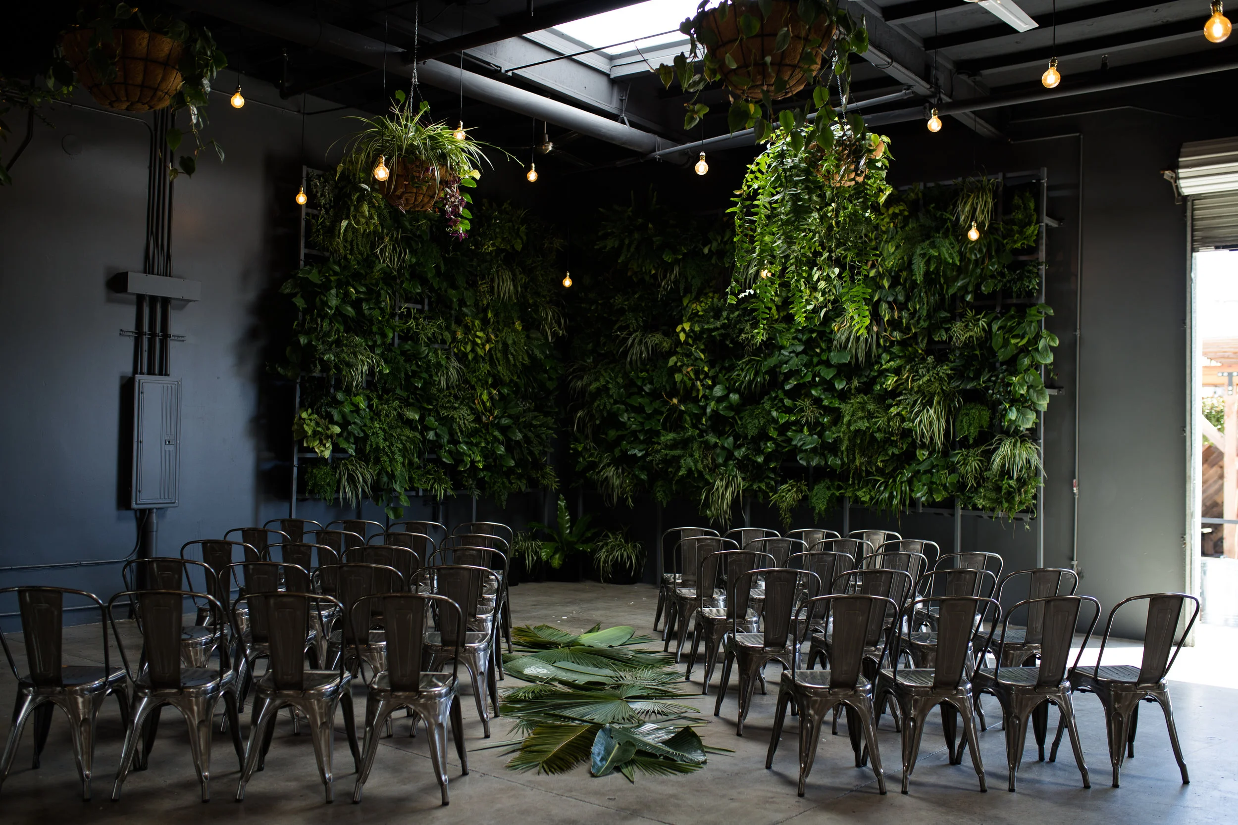 CTP-junglestyledshoot-12.jpg