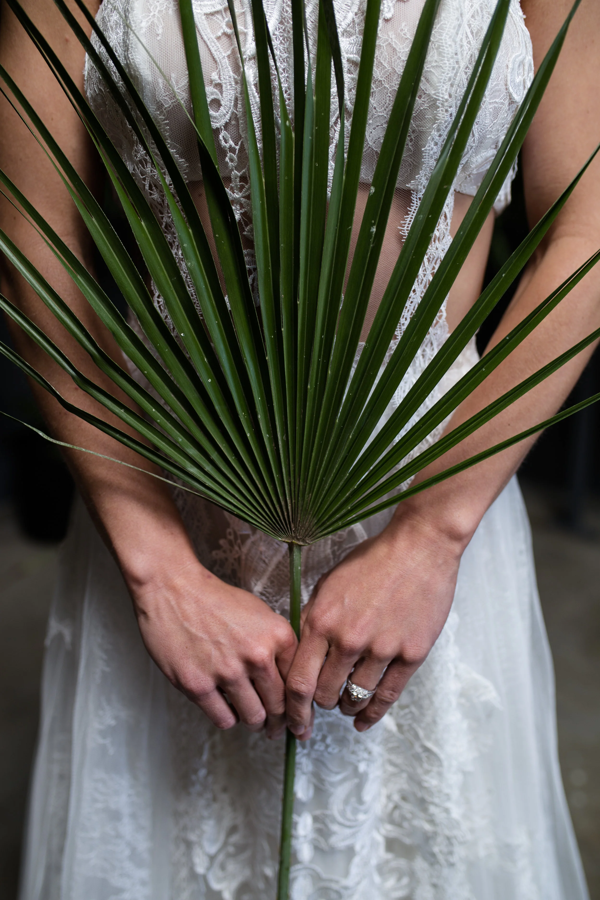 CTP-junglestyledshoot-59.jpg