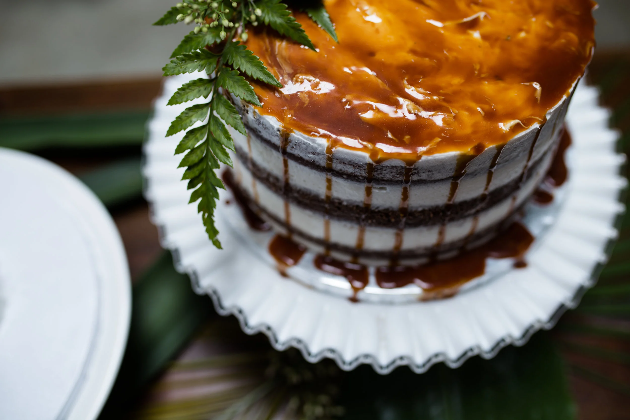 CTP-junglestyledshoot-cake-10.jpg