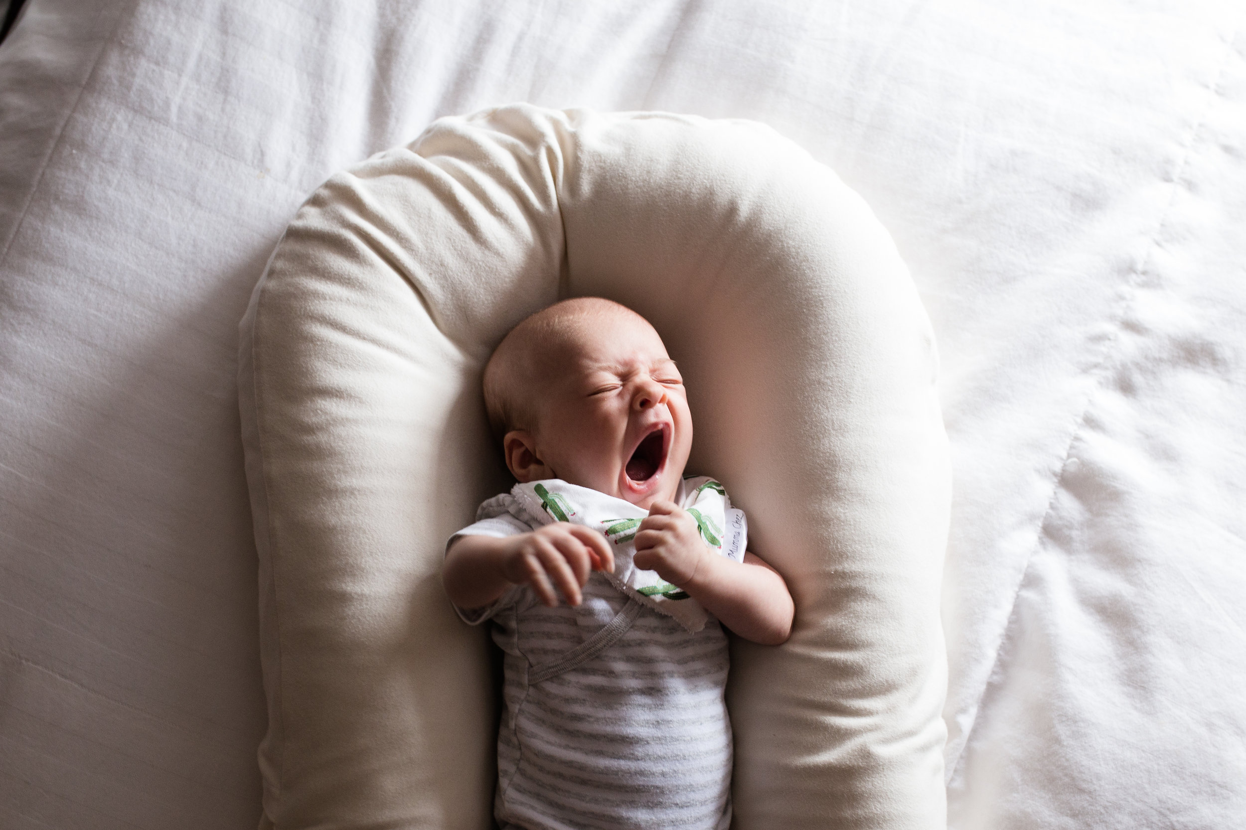 CTP-snugglememaeve-3.jpg