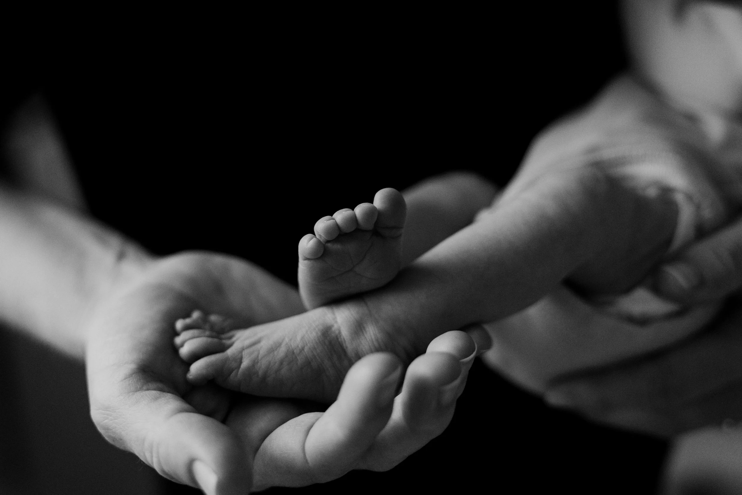 CTP-23.09farrnewborn-147.jpg