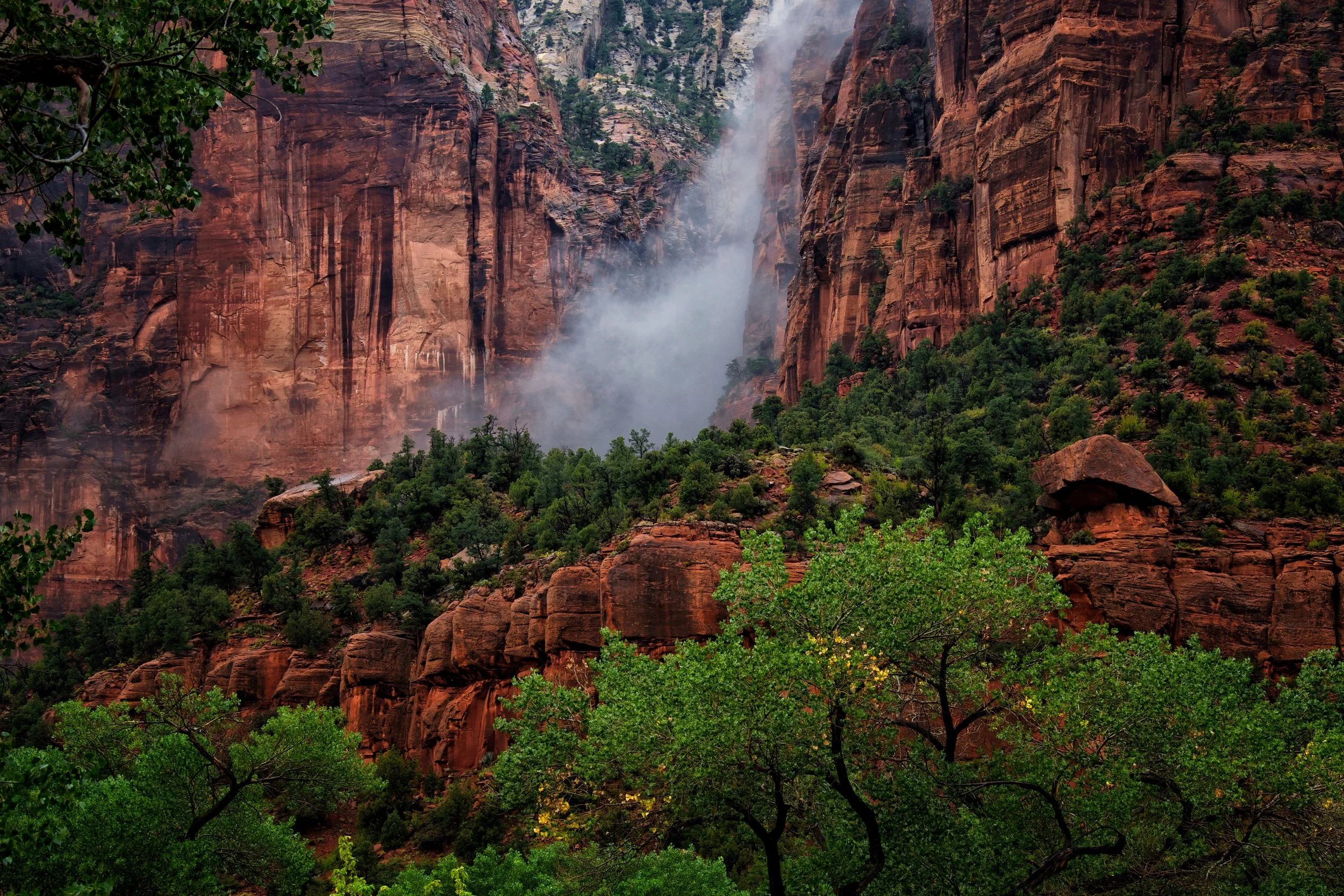 Zion Fog