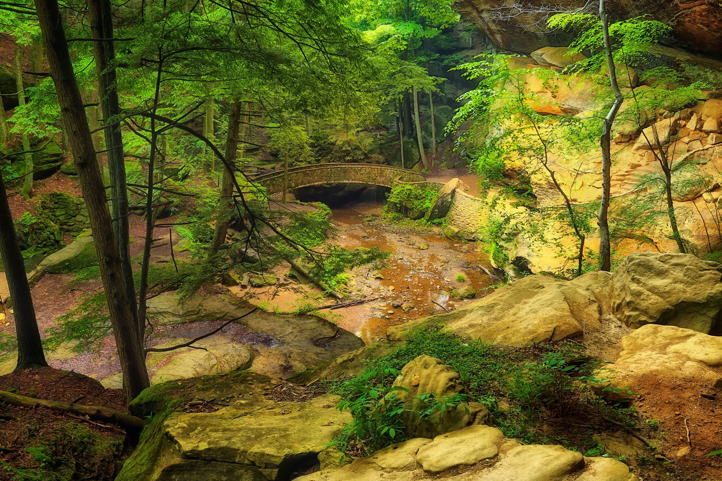 Crescent Bridge Landscape