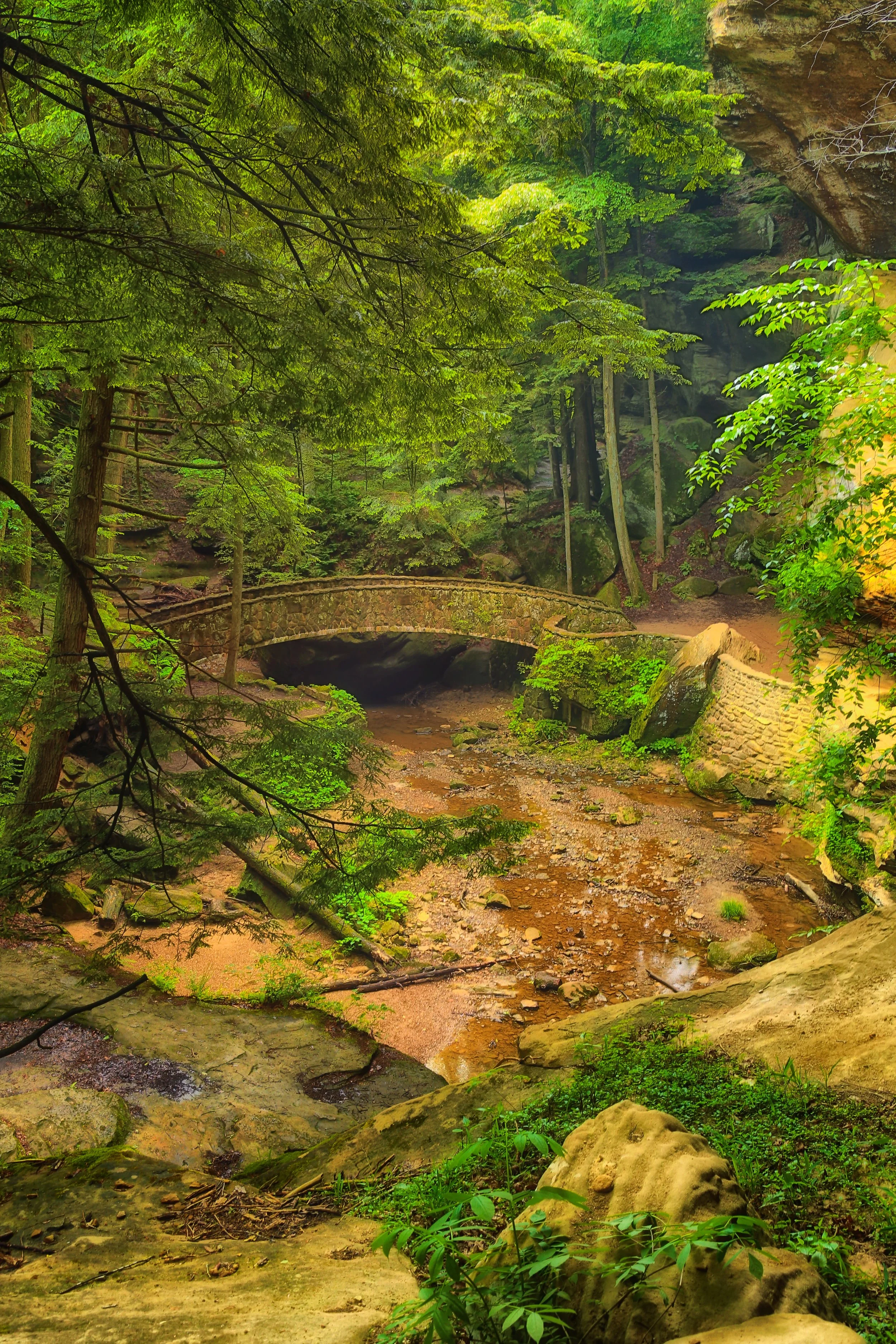 Crescent Bridge Portrait