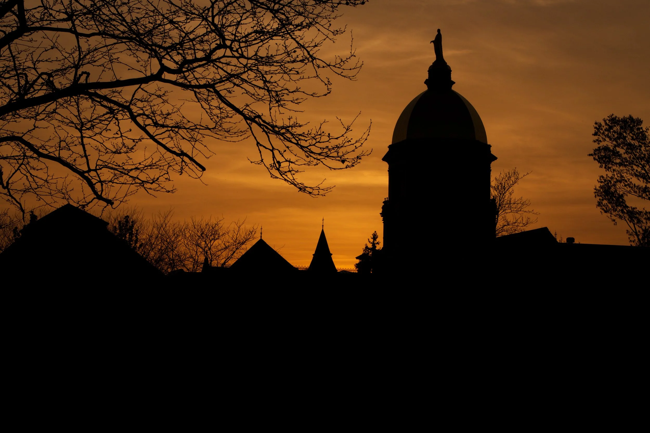 Golden Dome Silhouette