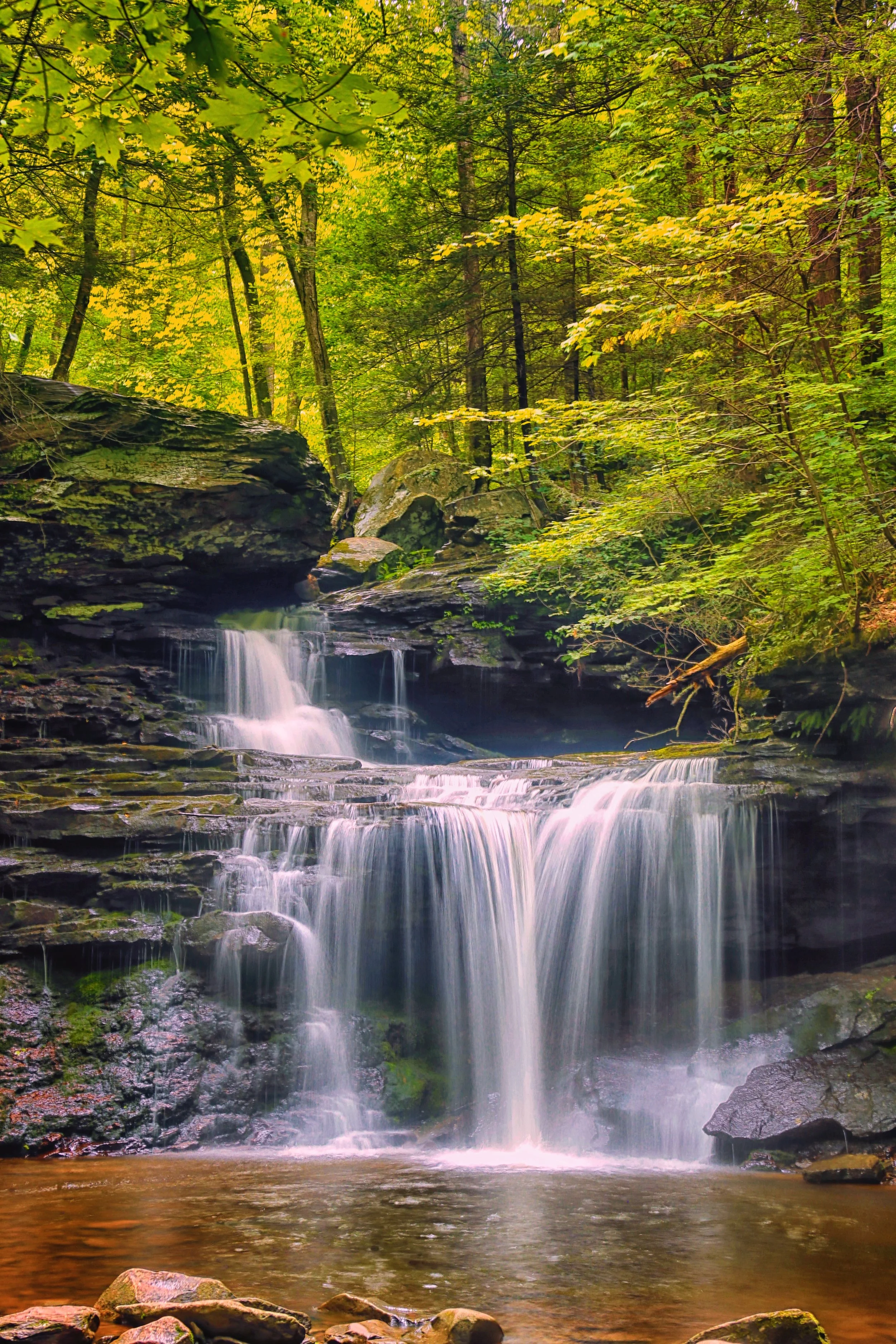 Golden Leaves Waterfalls
