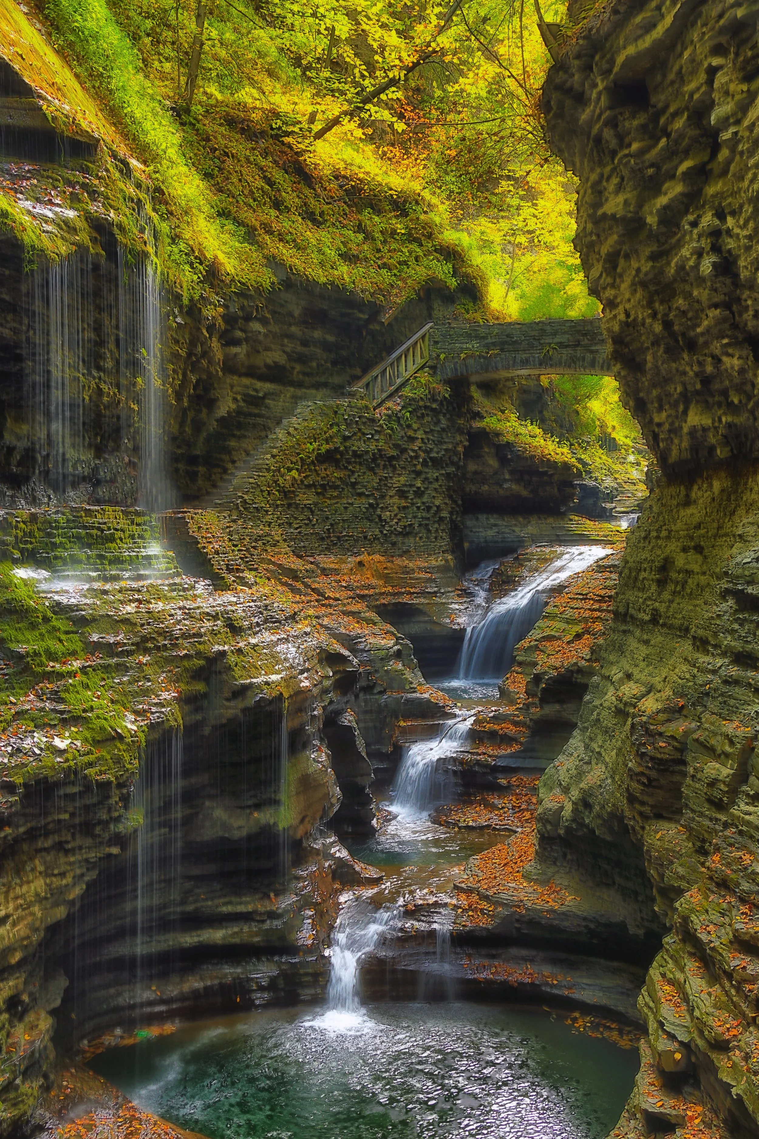 Waterfall Bridge
