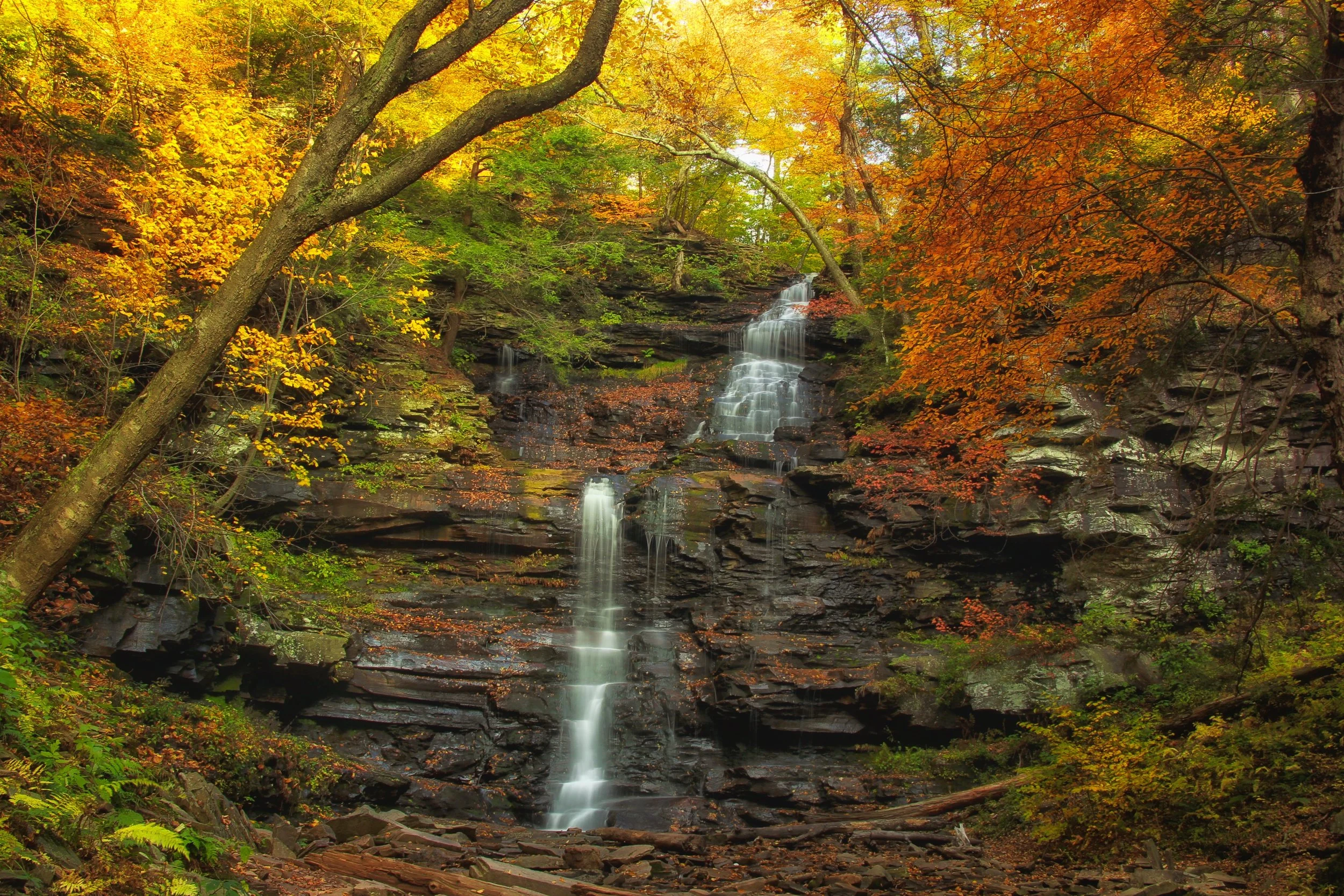 Color Brilliance Falls