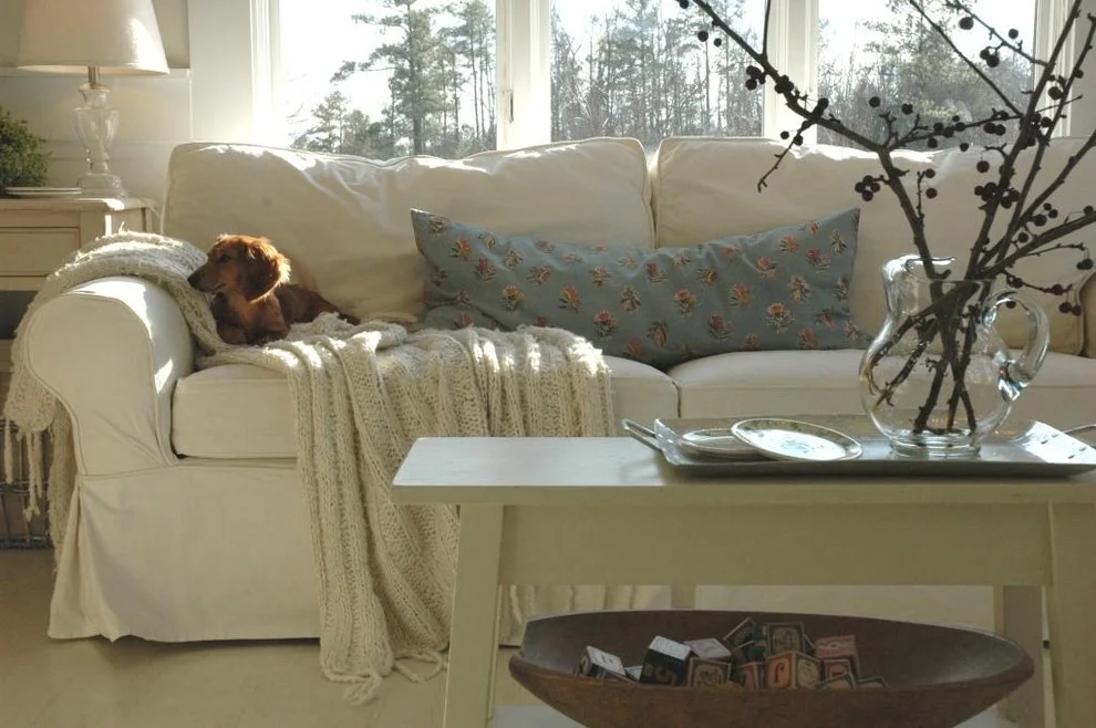 Pretty-sure-fit-slipcovers-in-Living-Room-Eclectic-with-Apartment-Size-Sofa-next-to-Mattress-Cover-alongside-Garage-Dog-Kennel-andSofa-Cover-.jpg