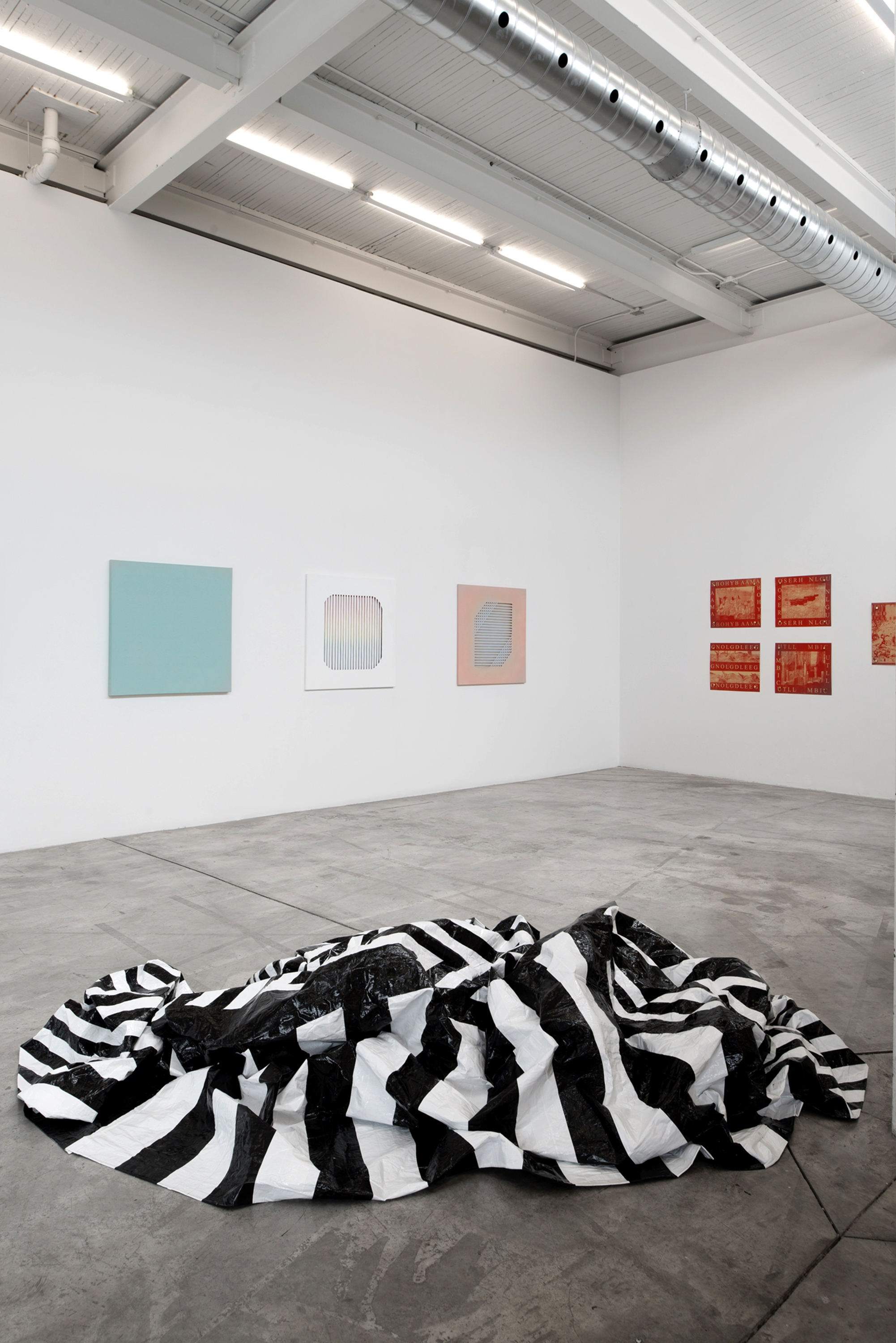  Derek Coulombe, Nestor Krüger, Kristie MacDonald, Janine Miedzik, Haley Uyeda    Installation view Diaz Contemporary  2016 