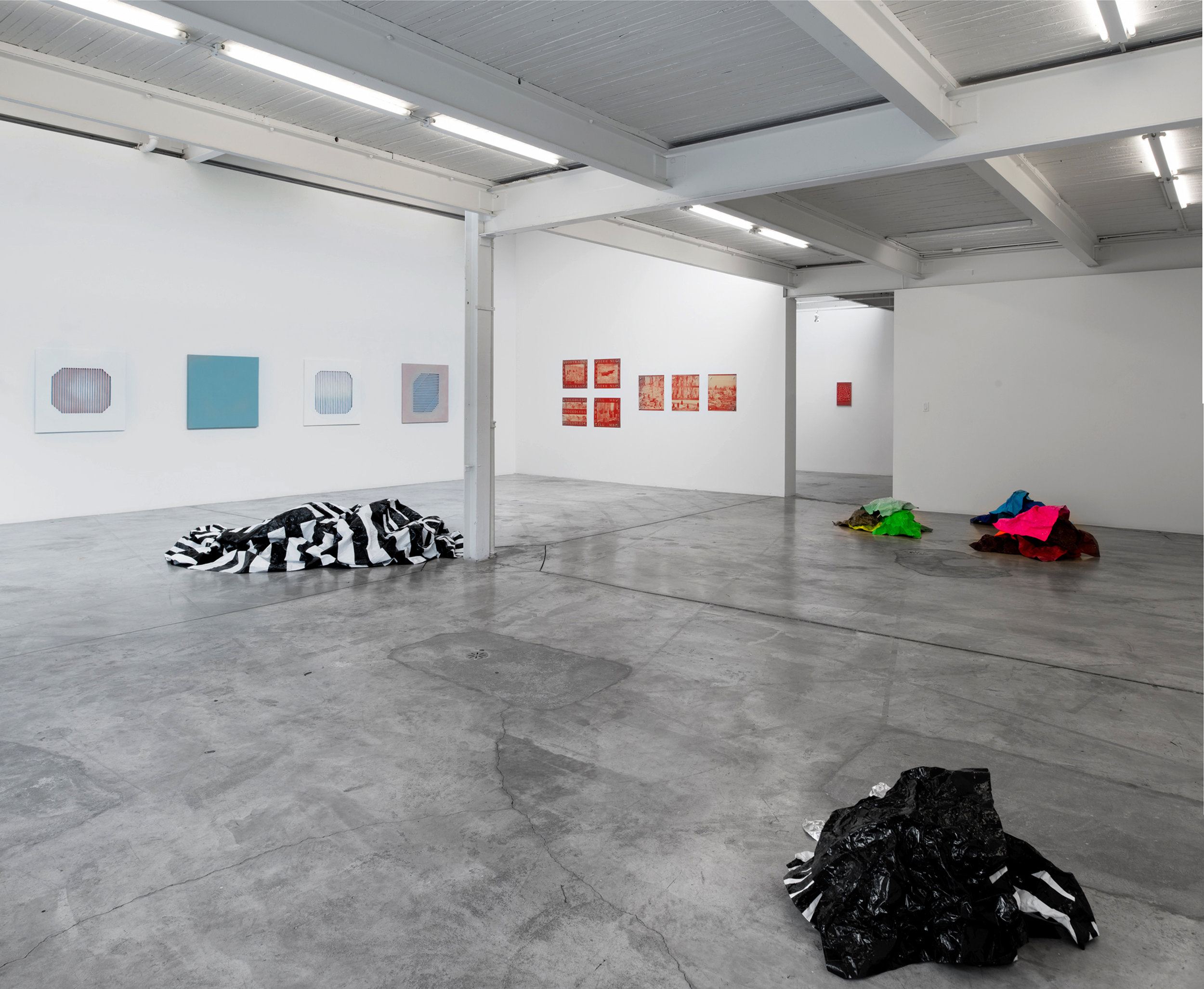   Derek Coulombe, Nestor Krüger, Kristie MacDonald, Janine Miedzik, Haley Uyeda   Installation view  Diaz Contemporary  2016 