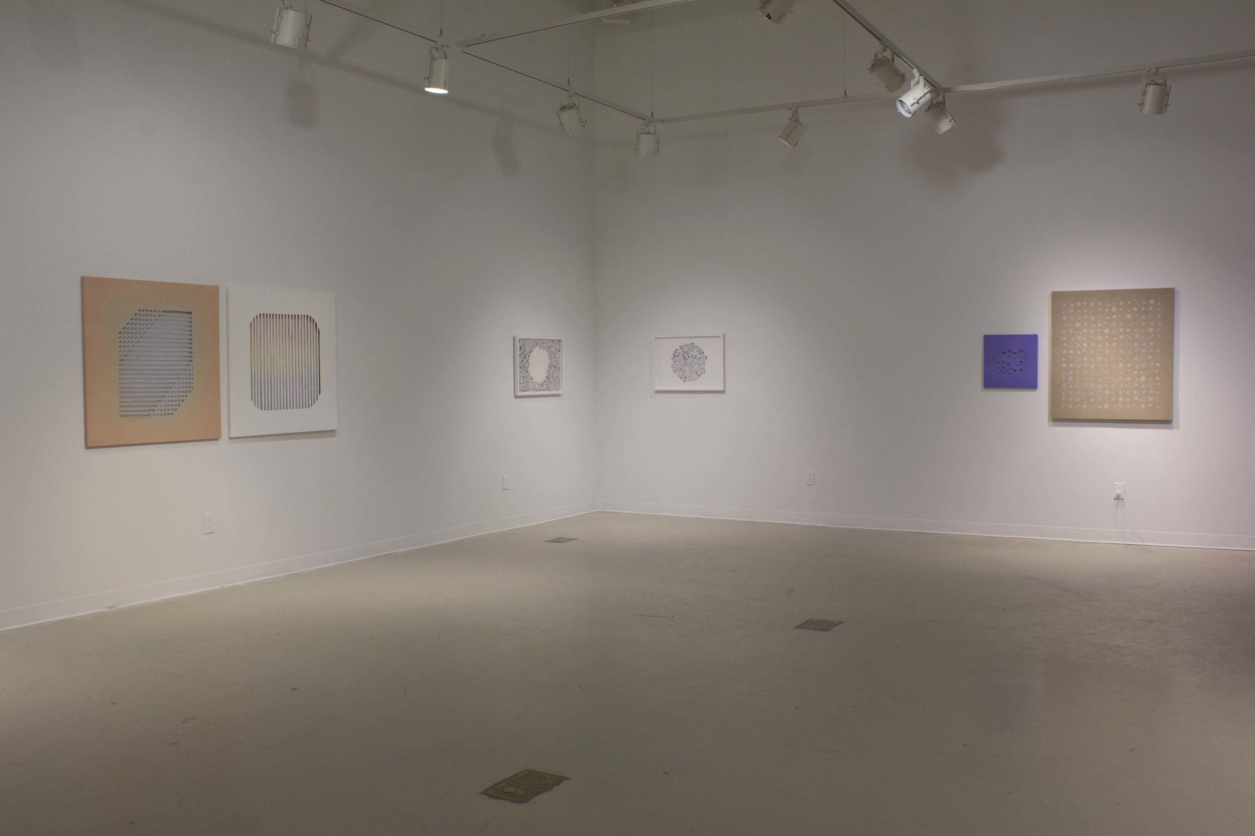   Slow Seeing  MFA Thesis Exhibition  Installation view at Gales Gallery 2016 