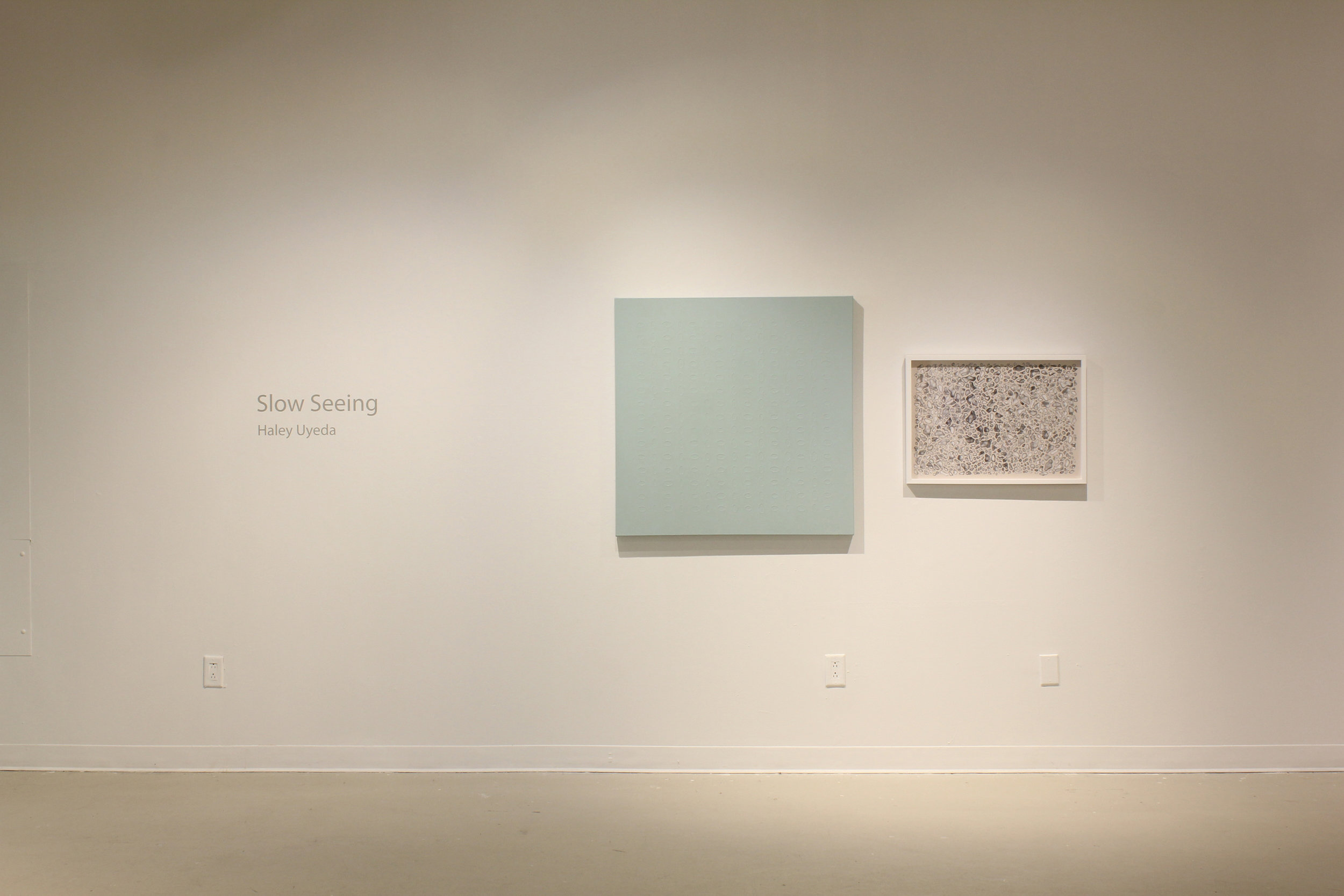   Slow Seeing  MFA Thesis Exhibition Installation view at Gales Gallery 2016 