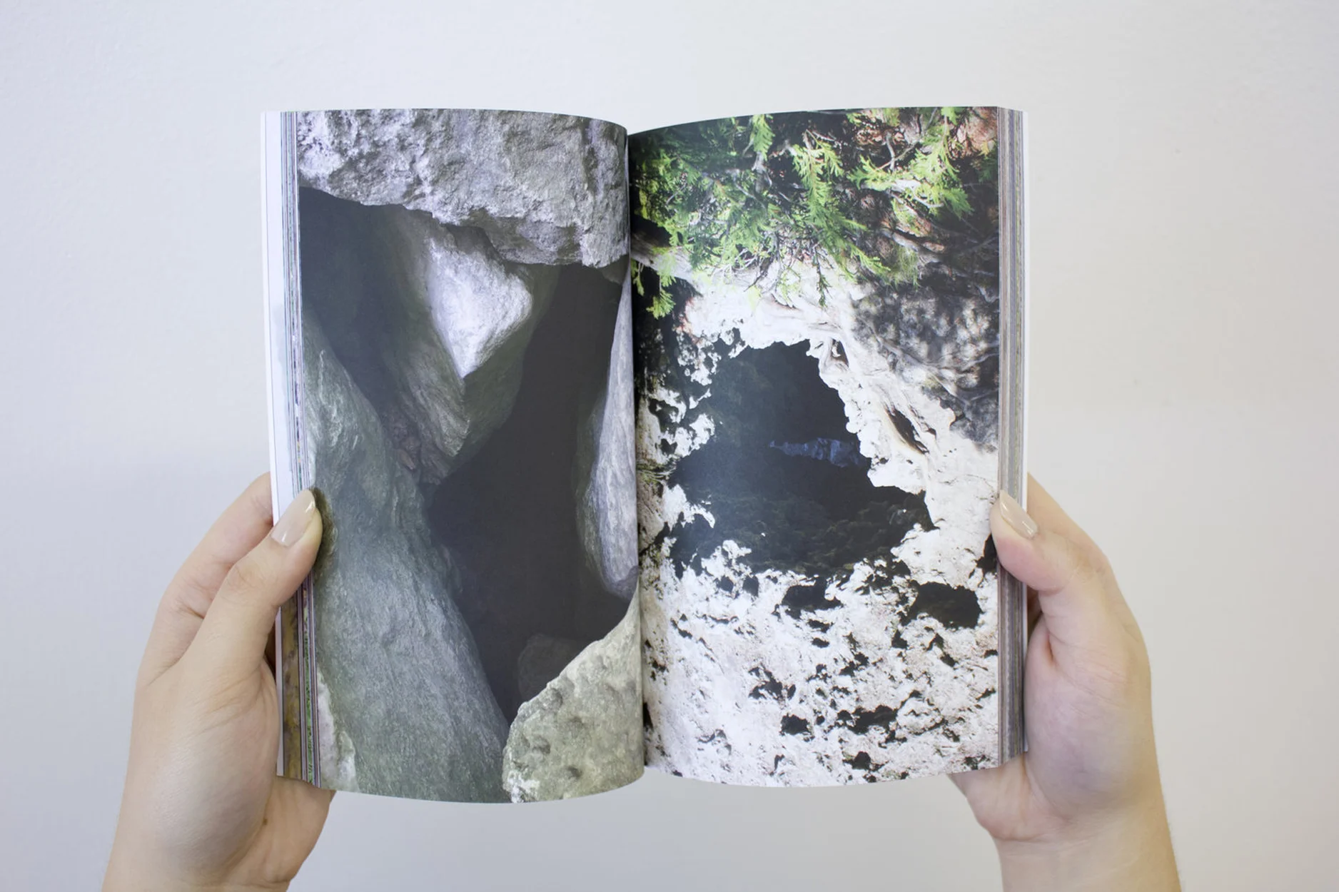 Slow Seeing: a visual essay detail 2016