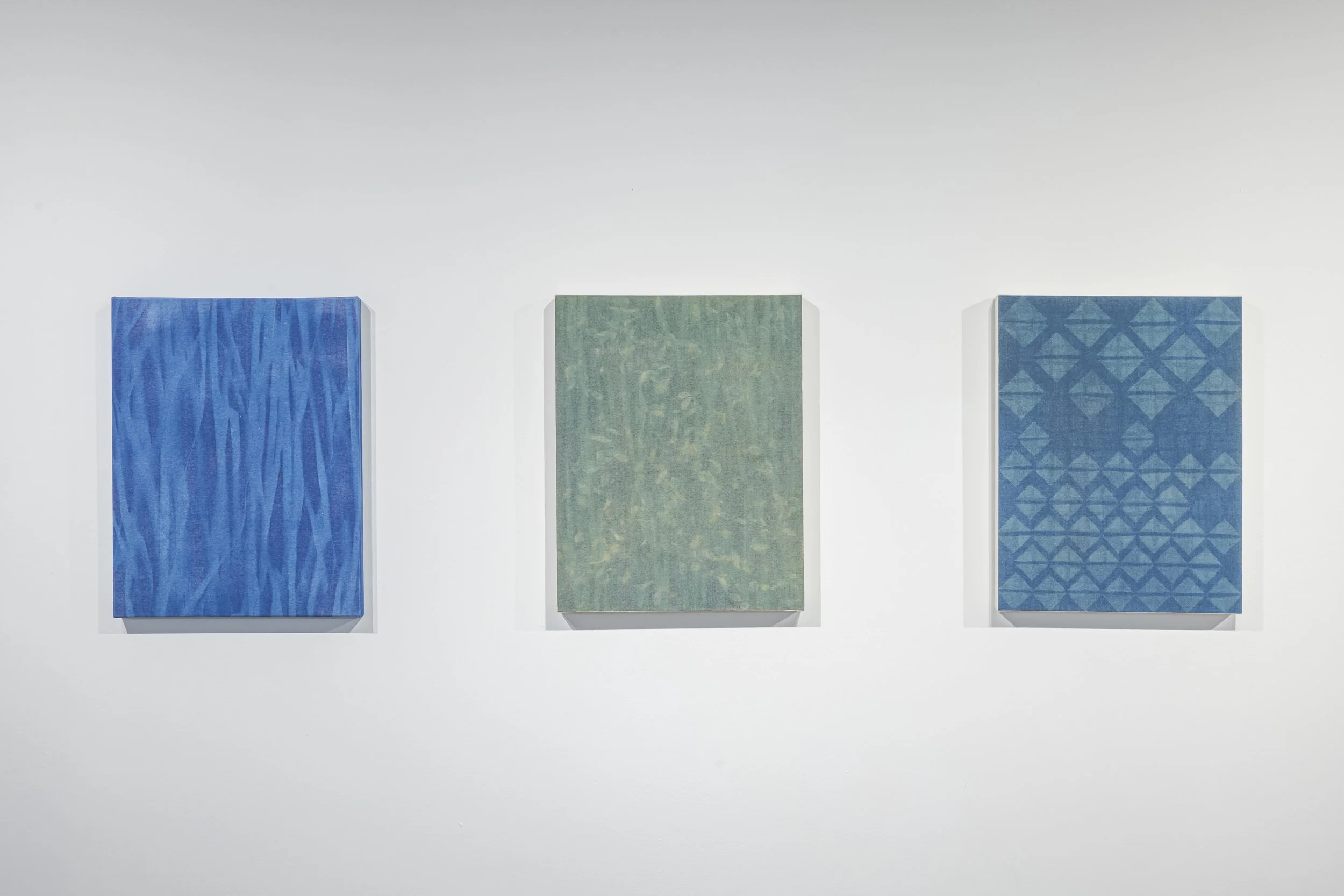  From left to right:   Seaweed, Flock, Demin   Photogram on canvas  18” x 14” each  2025 